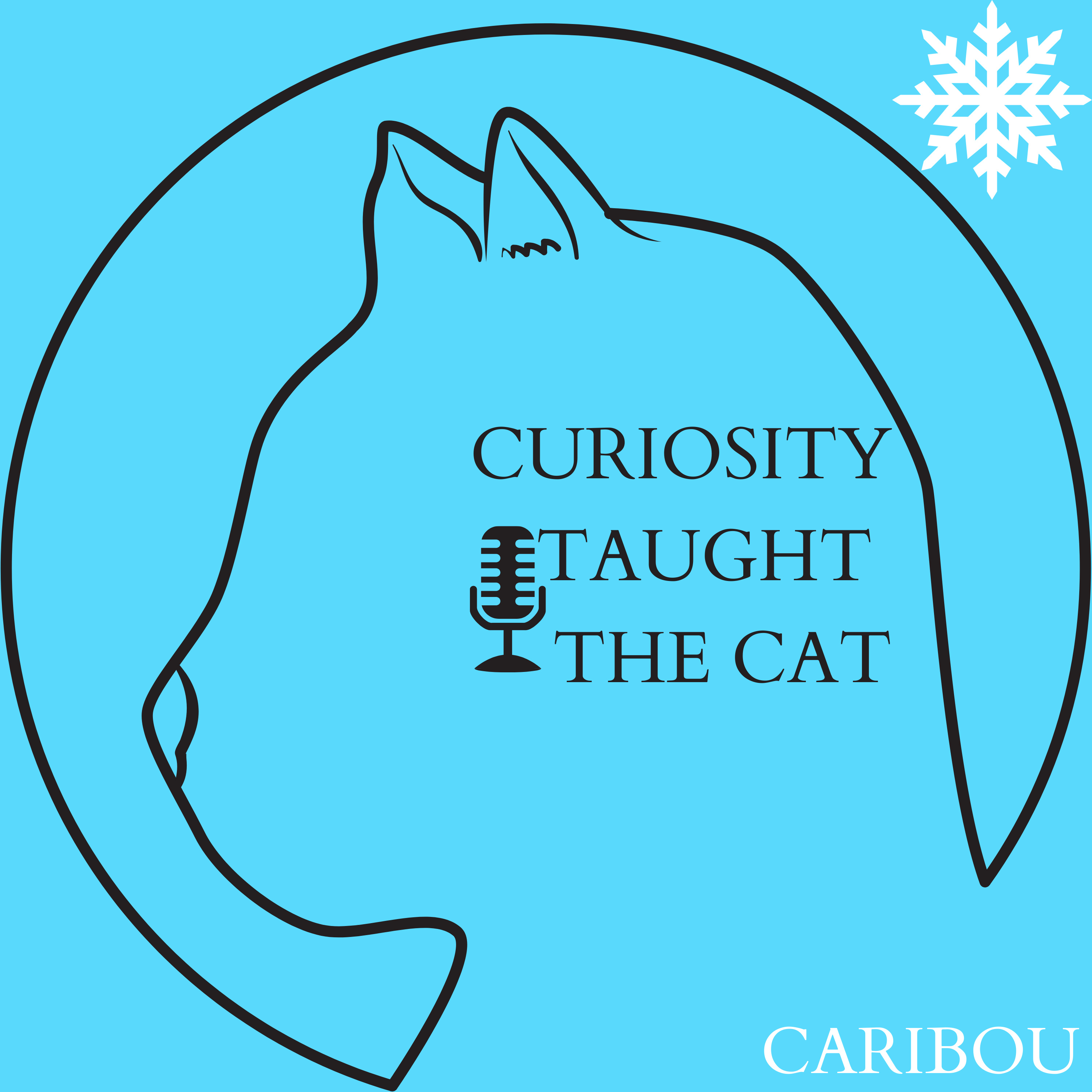 Episode 26 - Caribou episode artwork