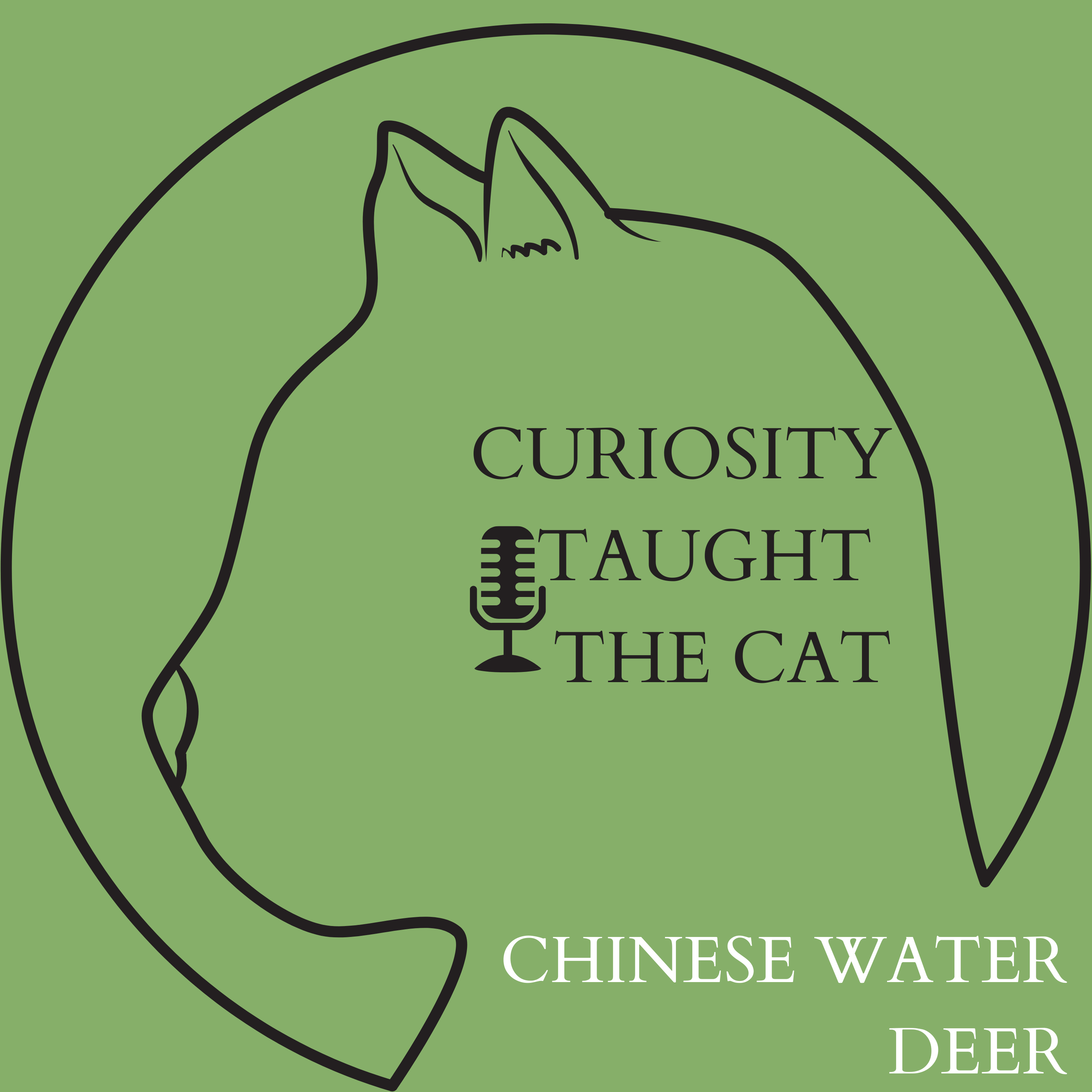 Episode 29 - Chinese Water Deer episode artwork