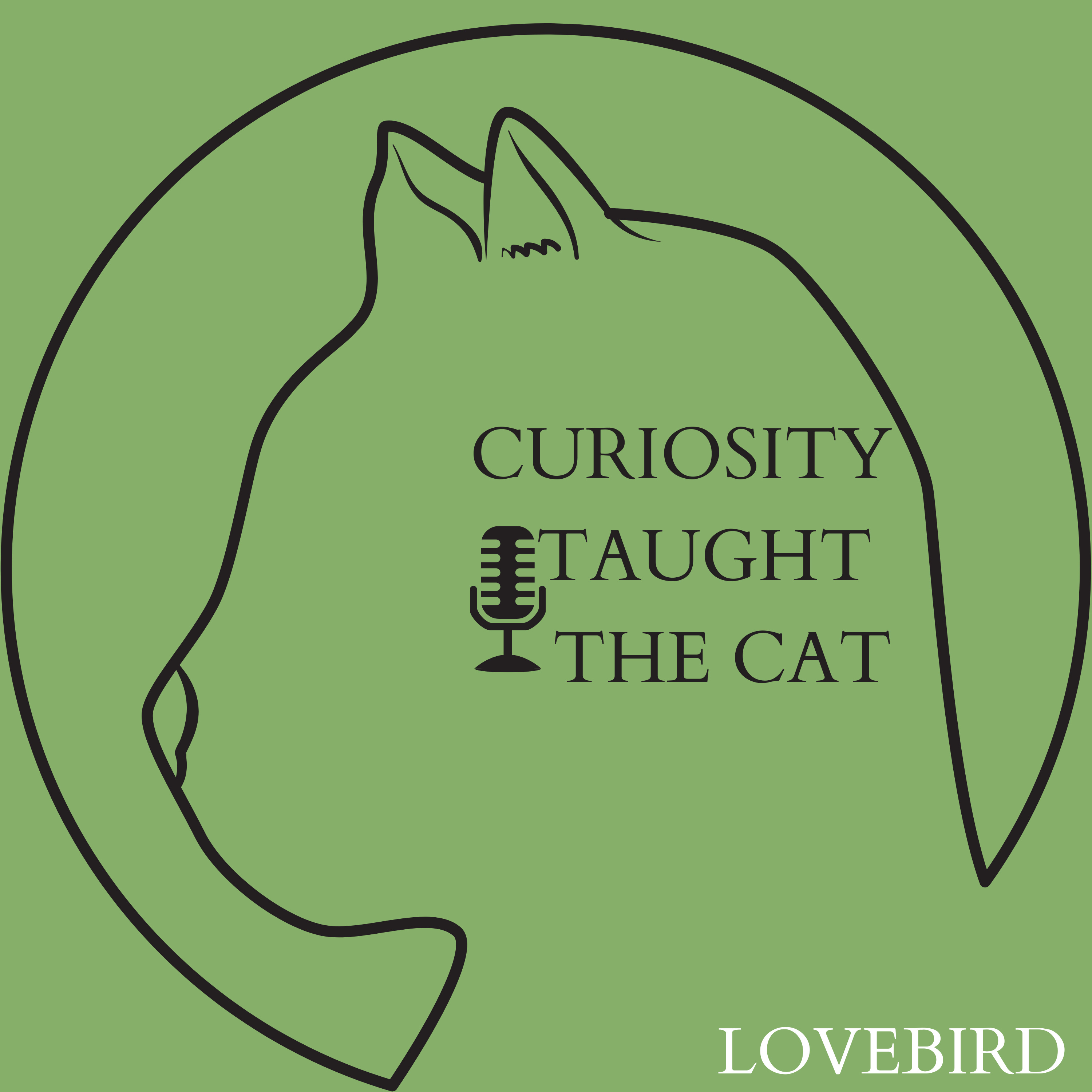 Episode 31 - Lovebird episode artwork