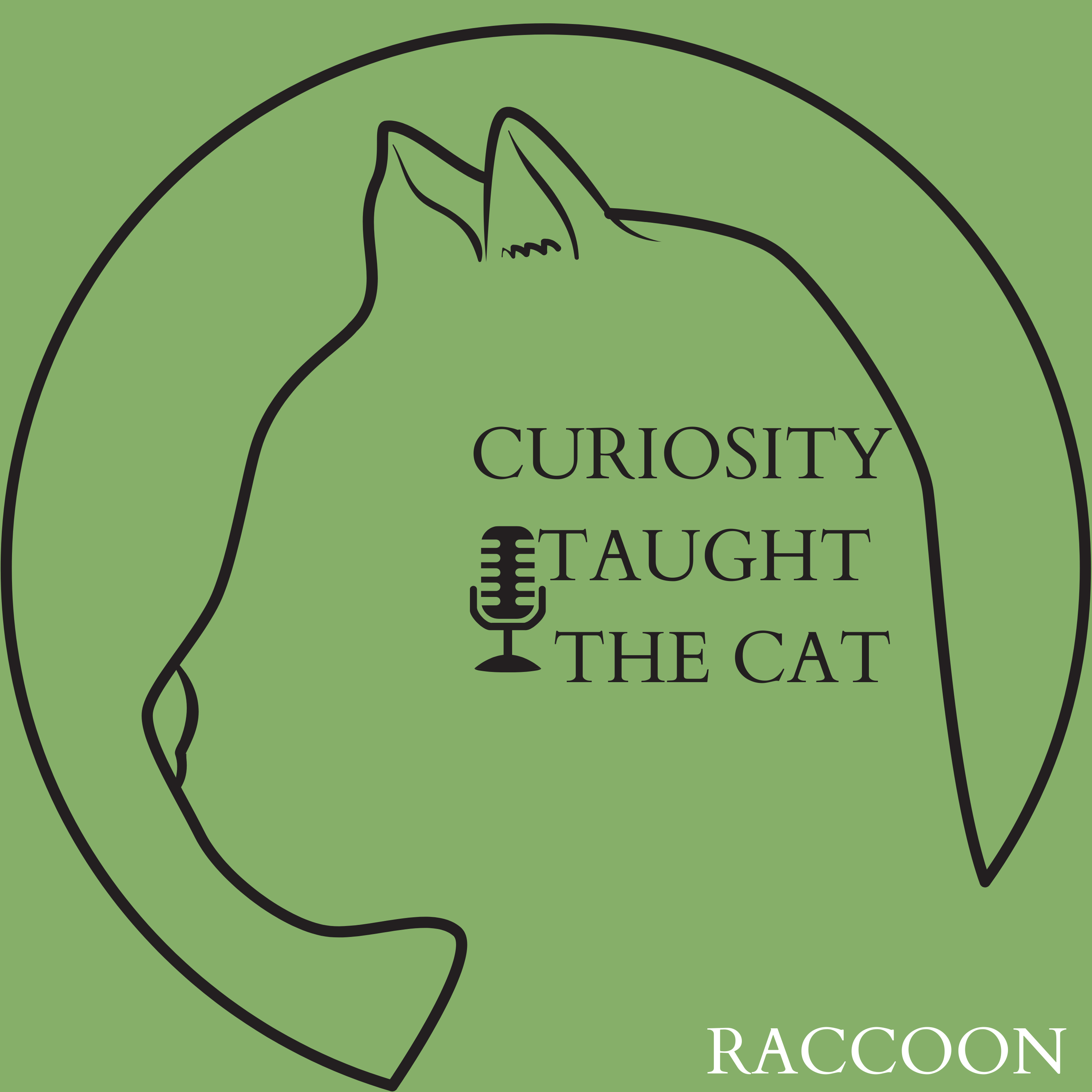 Episode 32 - Raccoon episode artwork