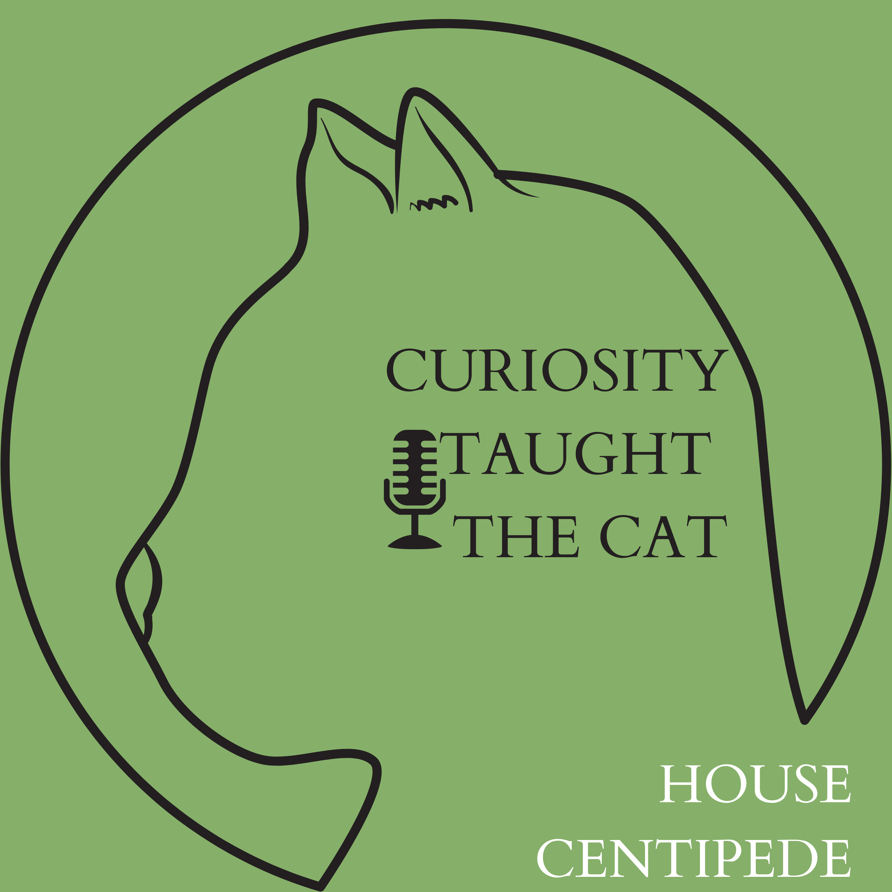 Episode 34 - House Centipede episode artwork