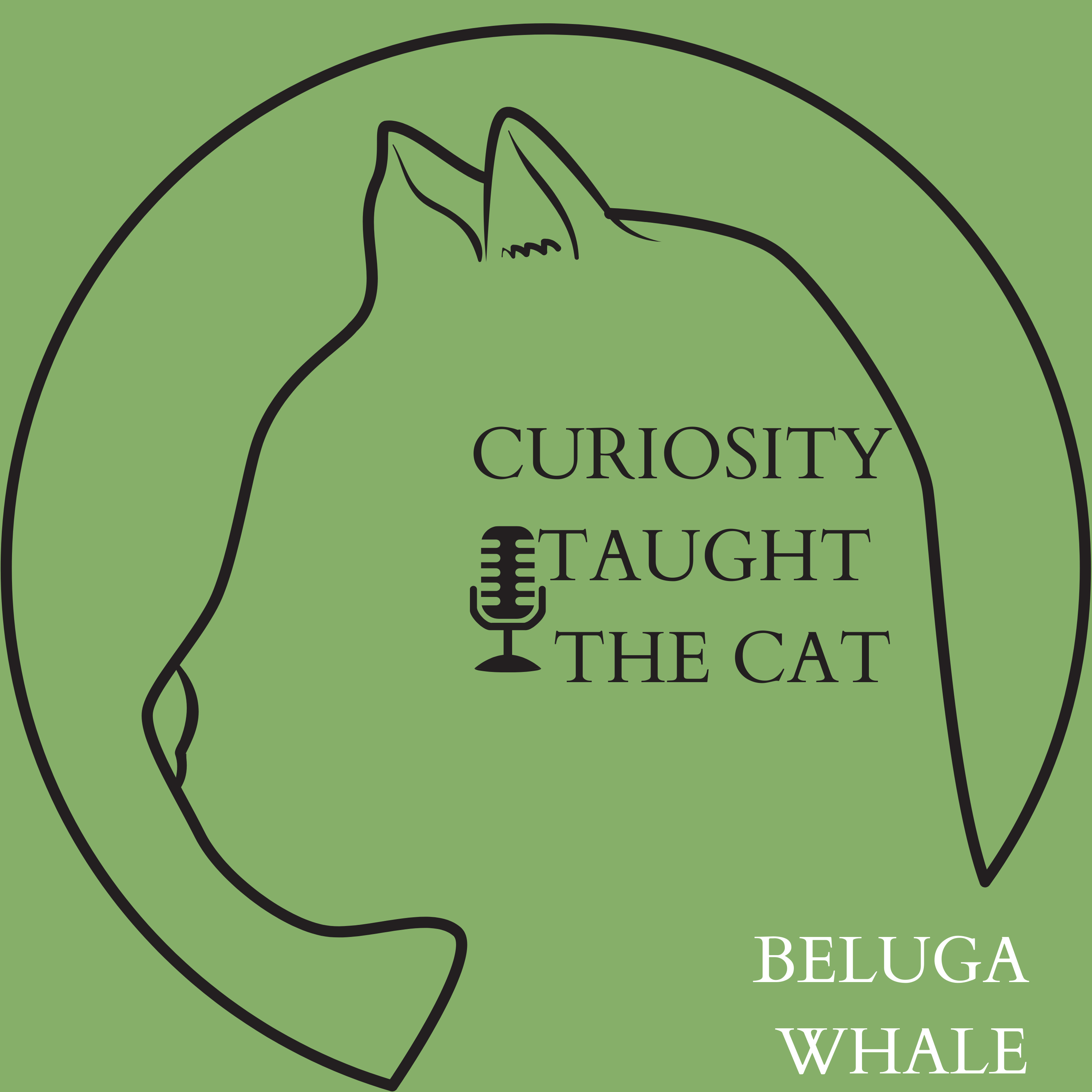 Episode 38 - Beluga Whale episode artwork