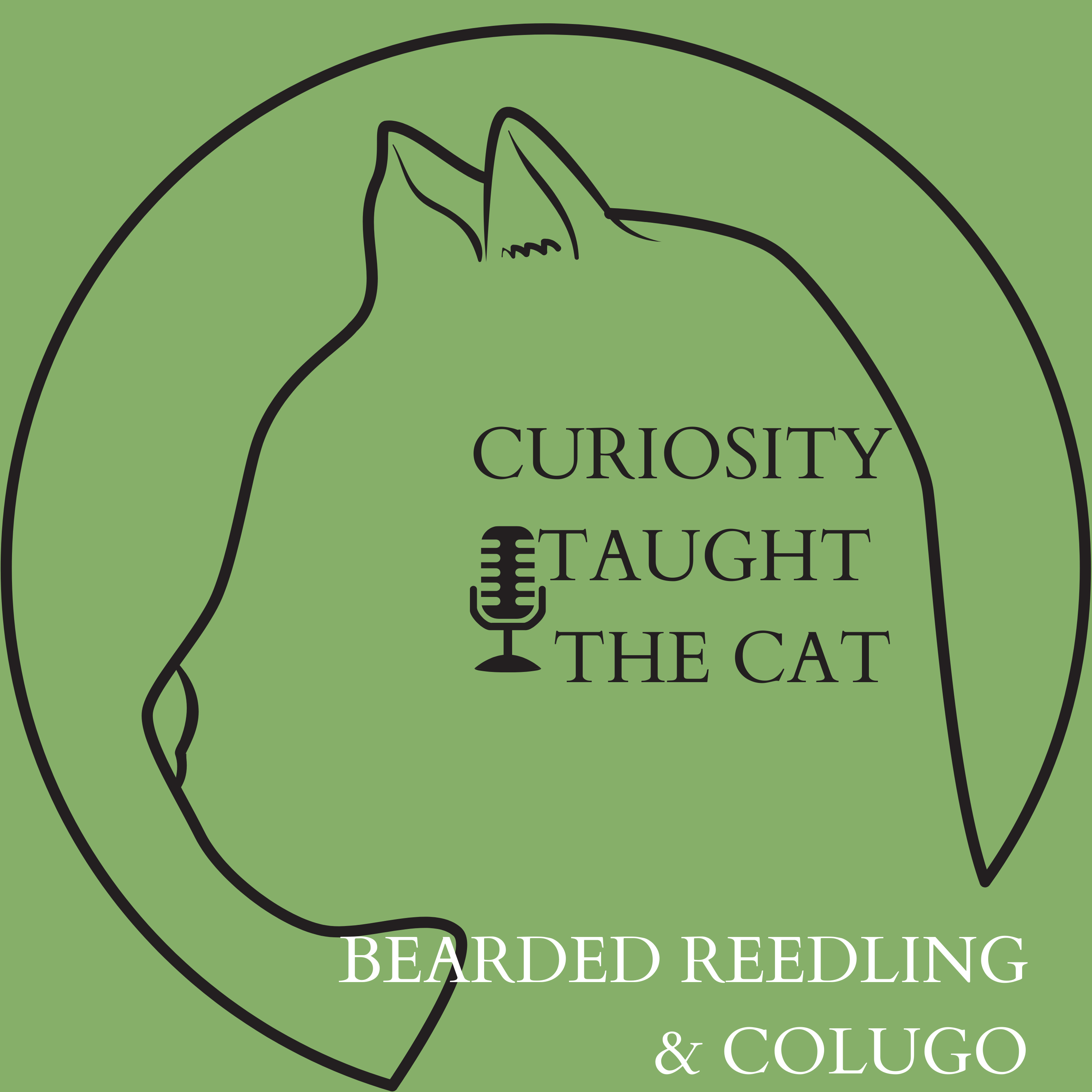 Episode 39 - Bearded Reedling & Colugo