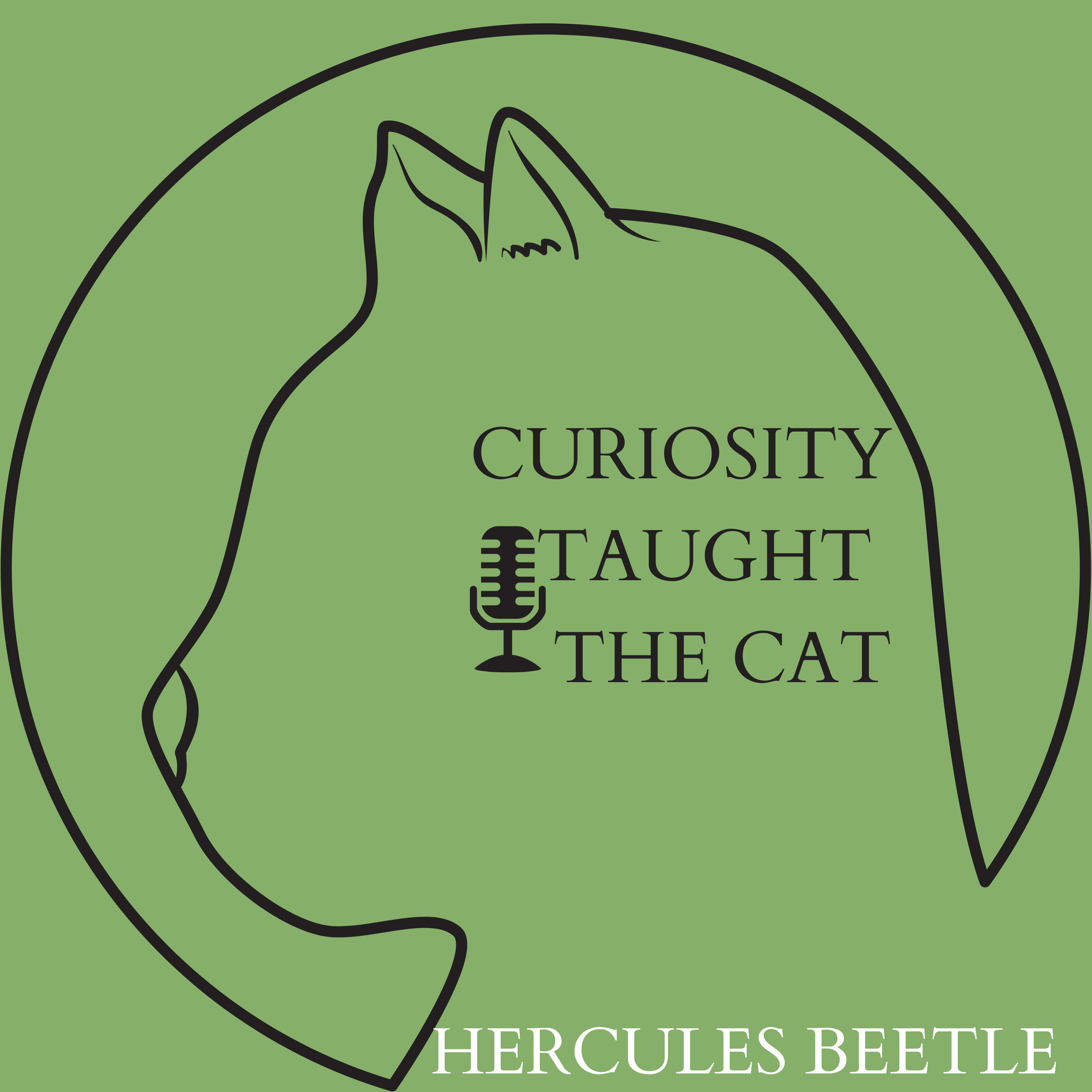 Episode 40 - Hercules Beetle episode artwork