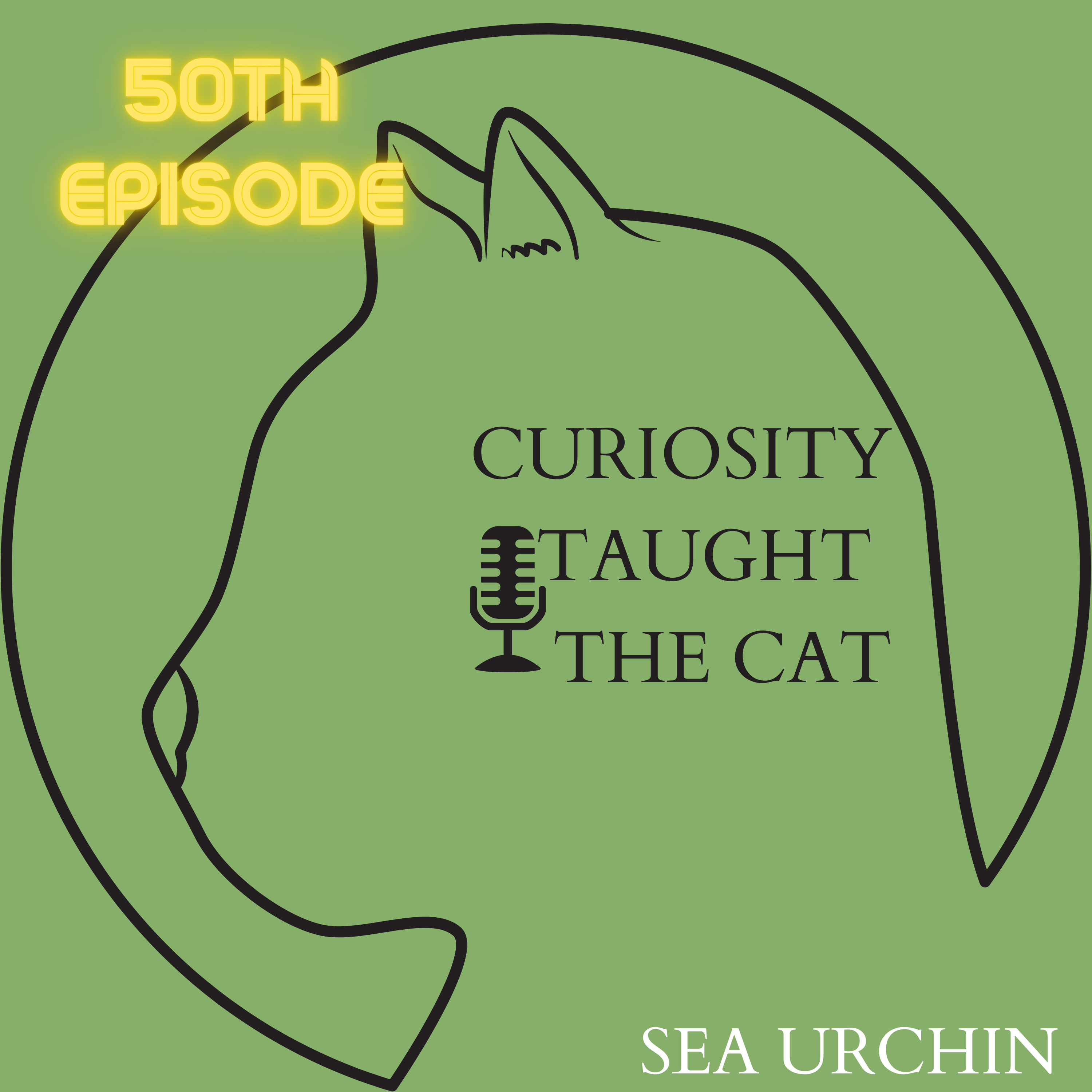 Episode 41 - Sea Urchin episode artwork