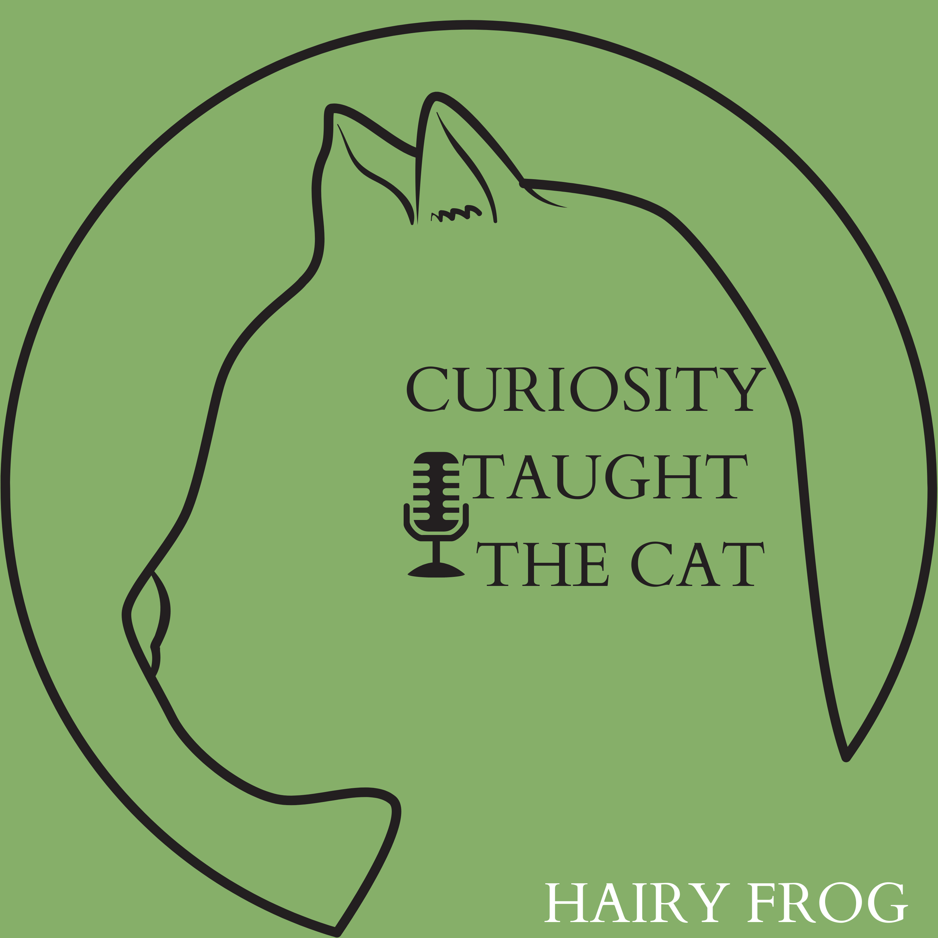 Episode 45 - Hairy Frog episode artwork