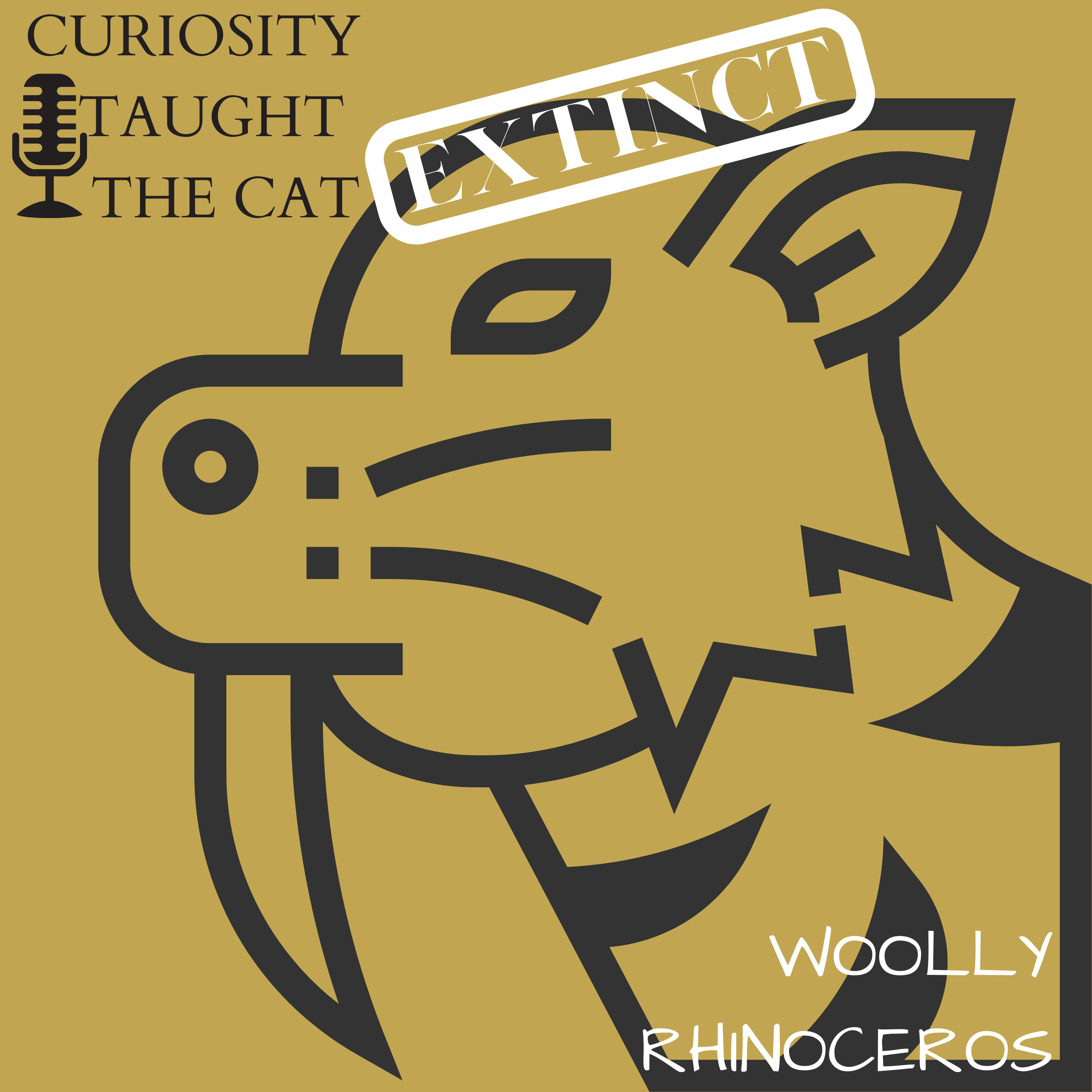 Episode E11 - Woolly Rhinoceros episode artwork