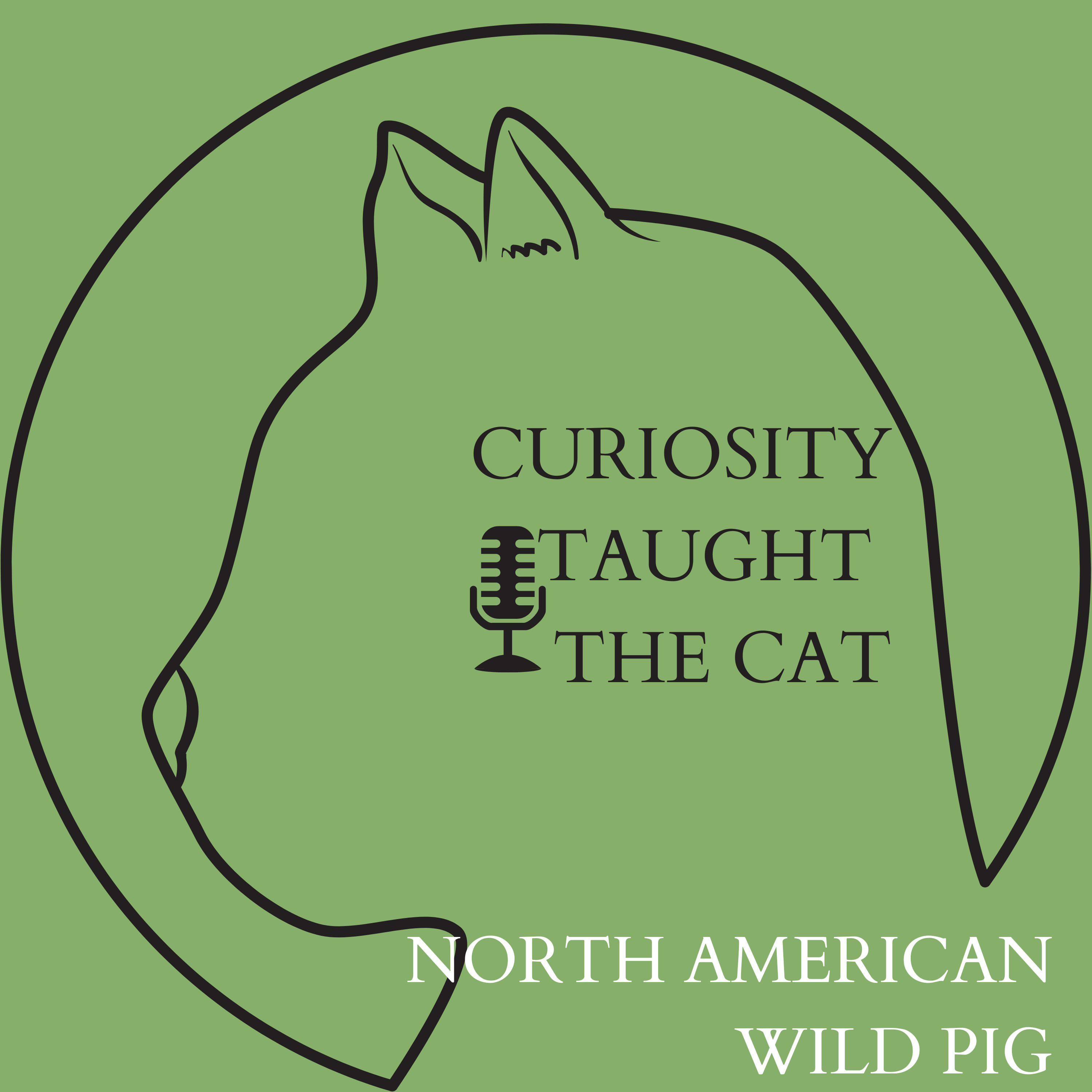 Episode 49 - North American Wild Pig