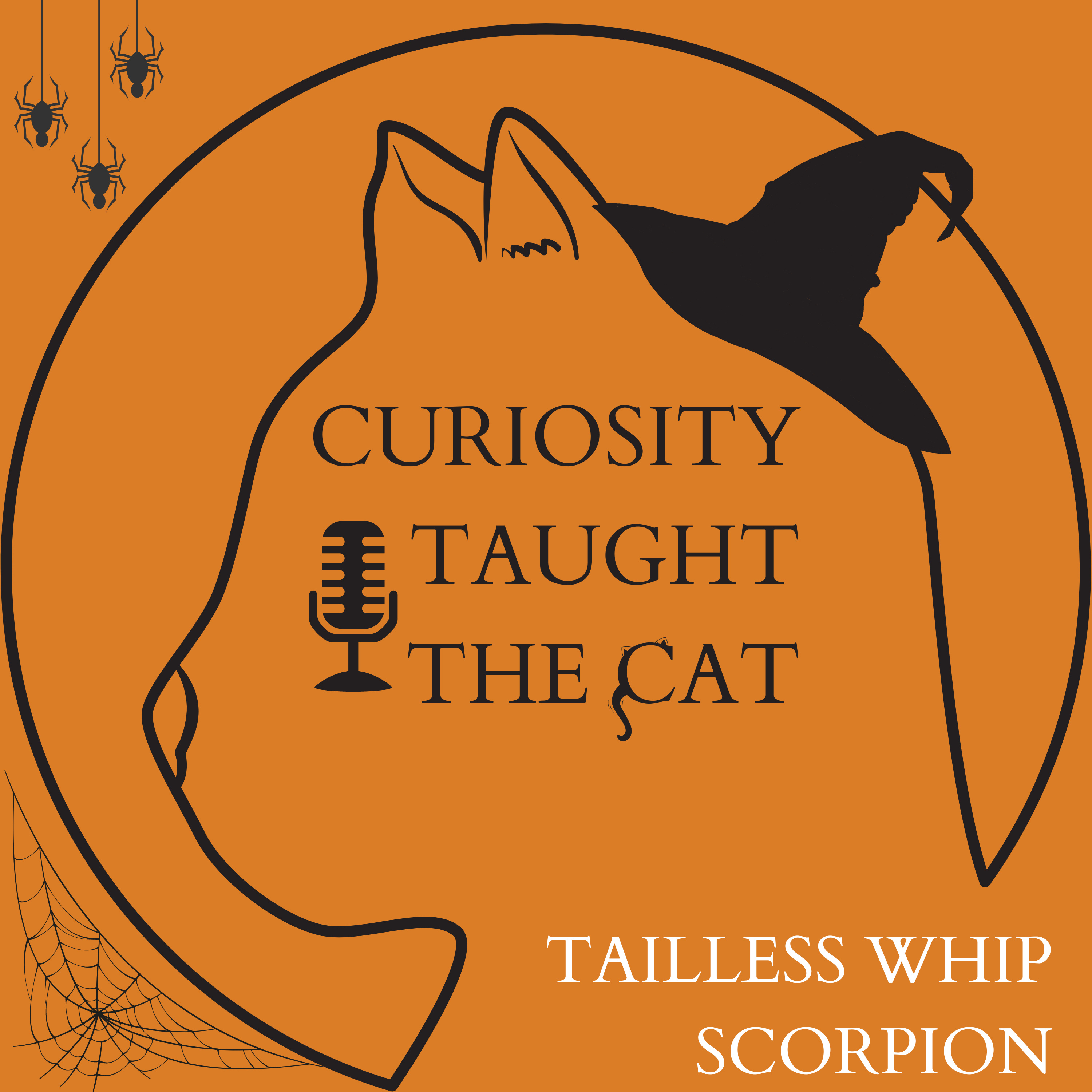 Episode 59 - Tailless Whip Scorpion episode artwork
