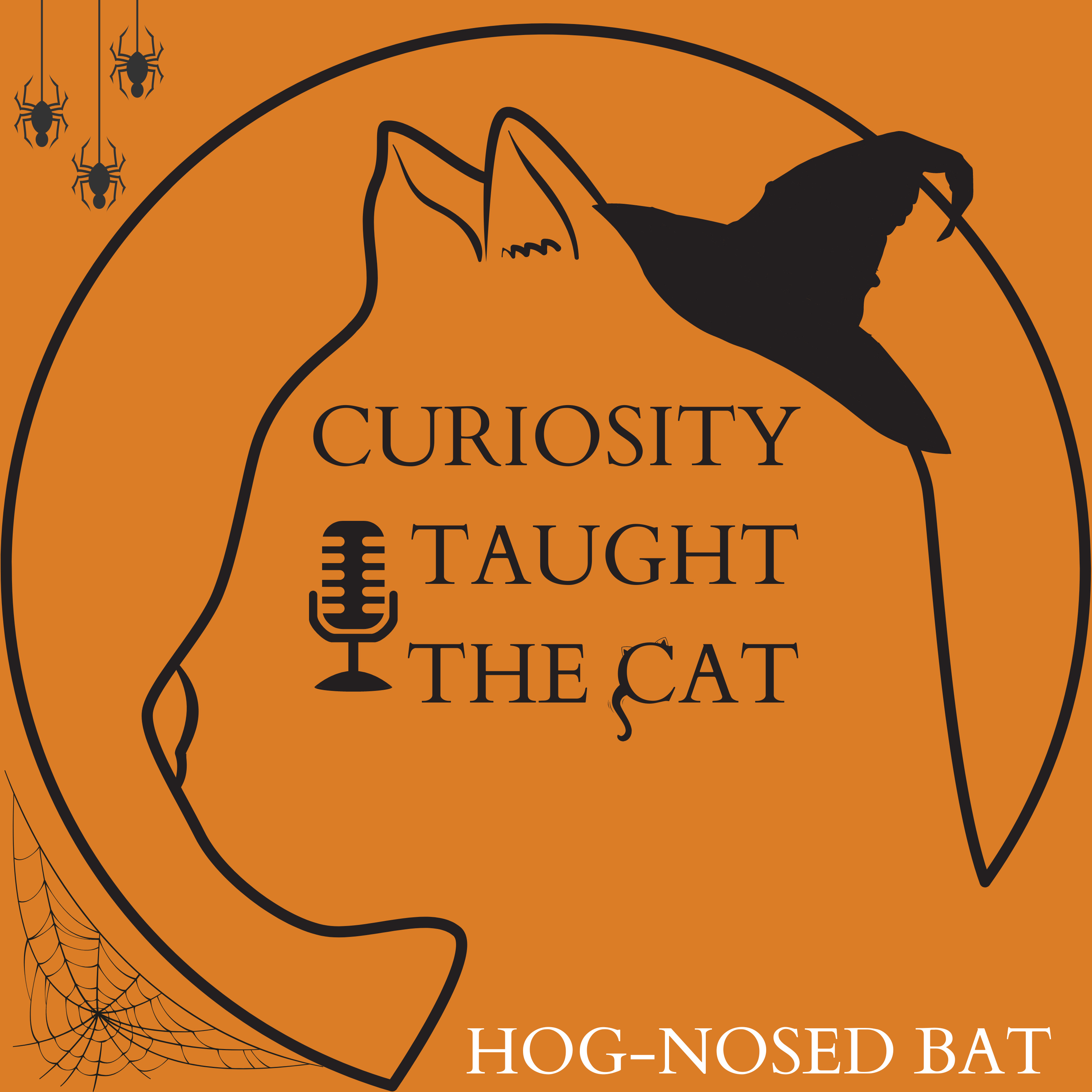 Episode 61 - Hog-Nosed Bat episode artwork