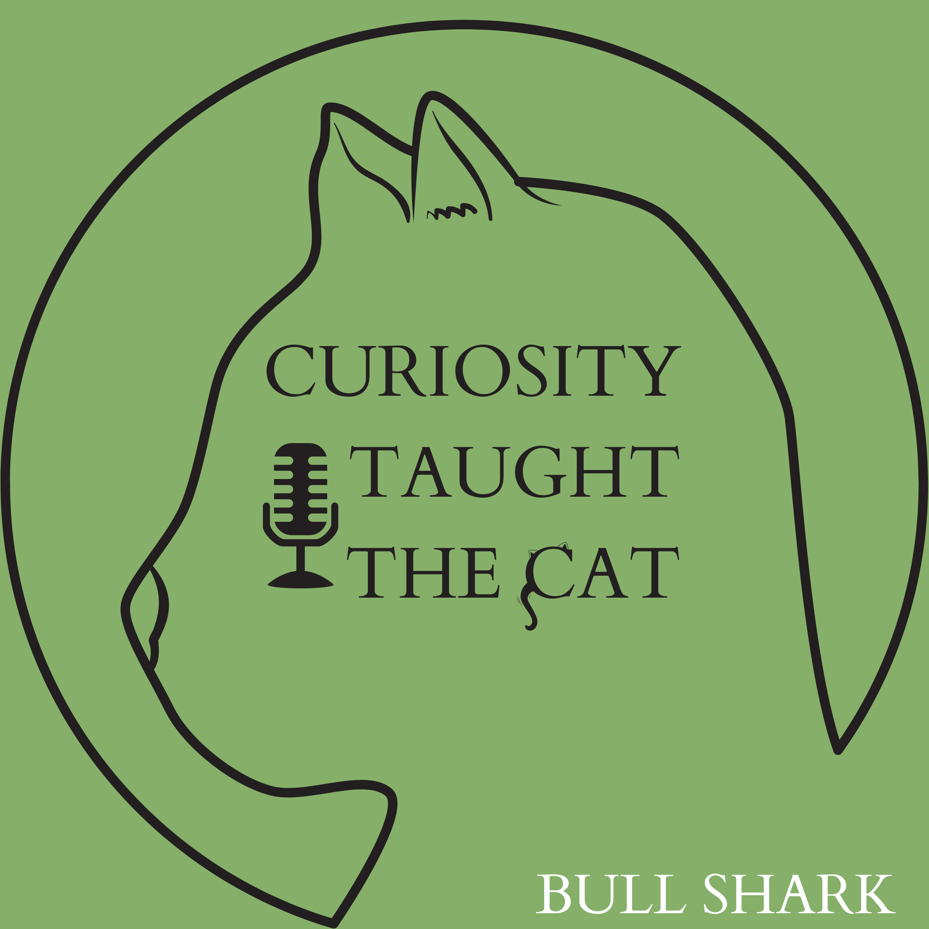 Episode 64 - Bull Shark episode artwork