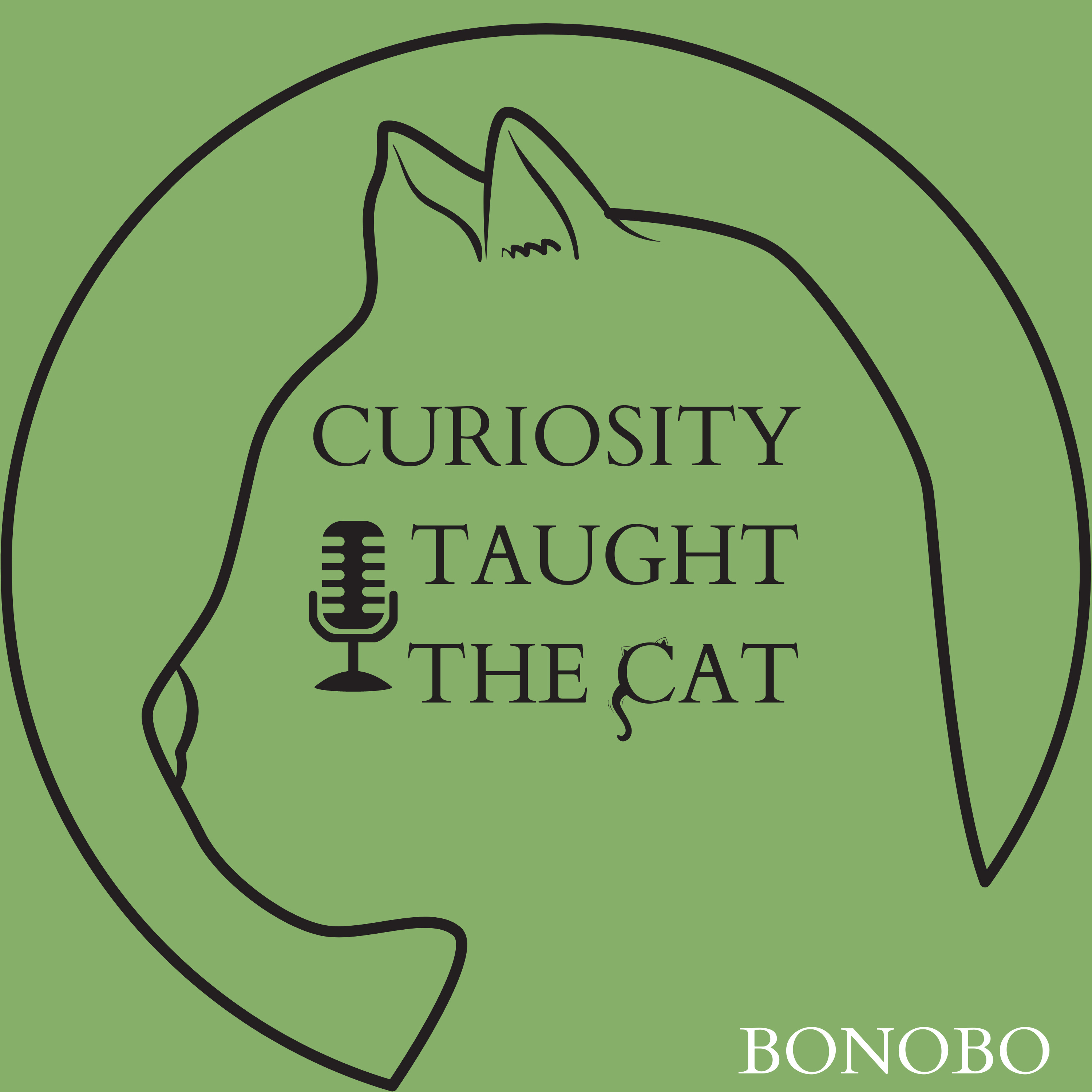 Episode 65 - Bonobo episode artwork