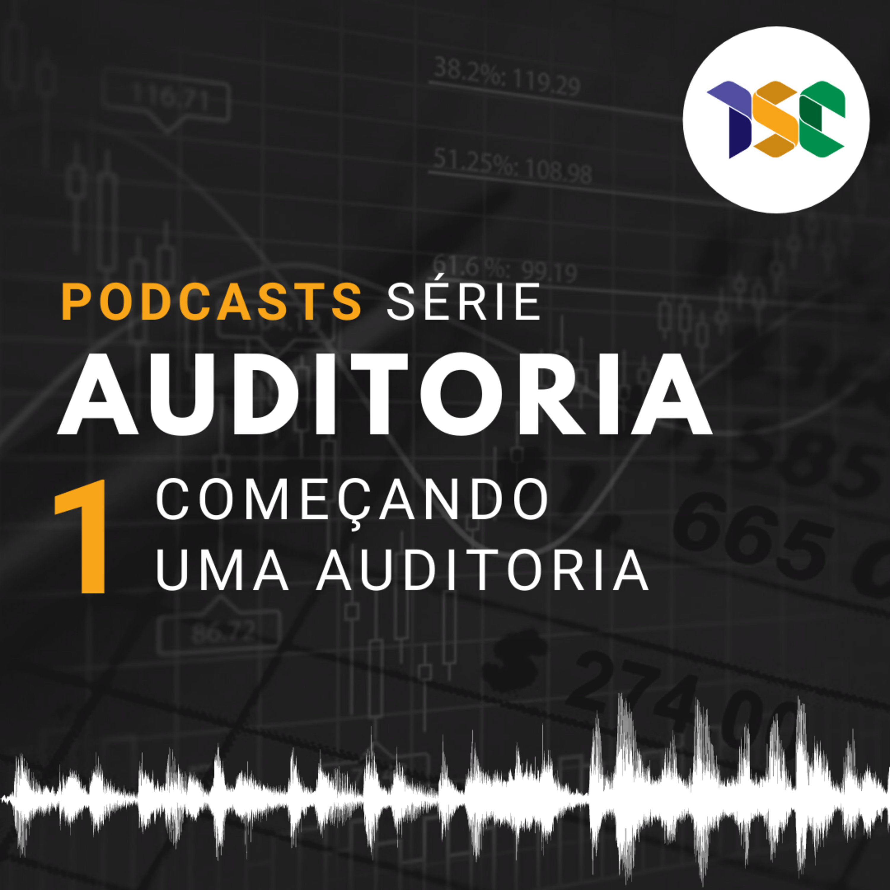 Cursos - Série Auditoria