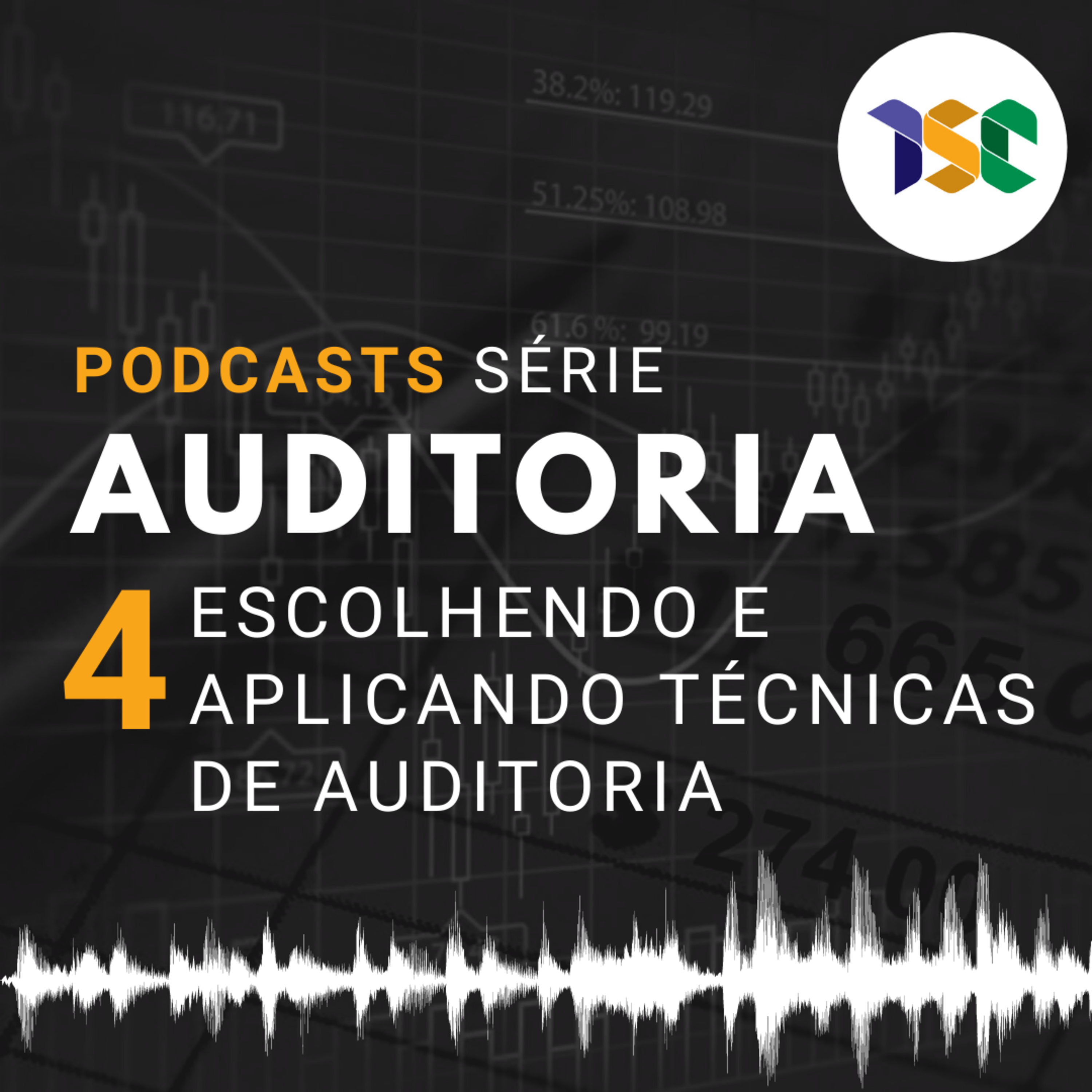 Cursos - Série Auditoria