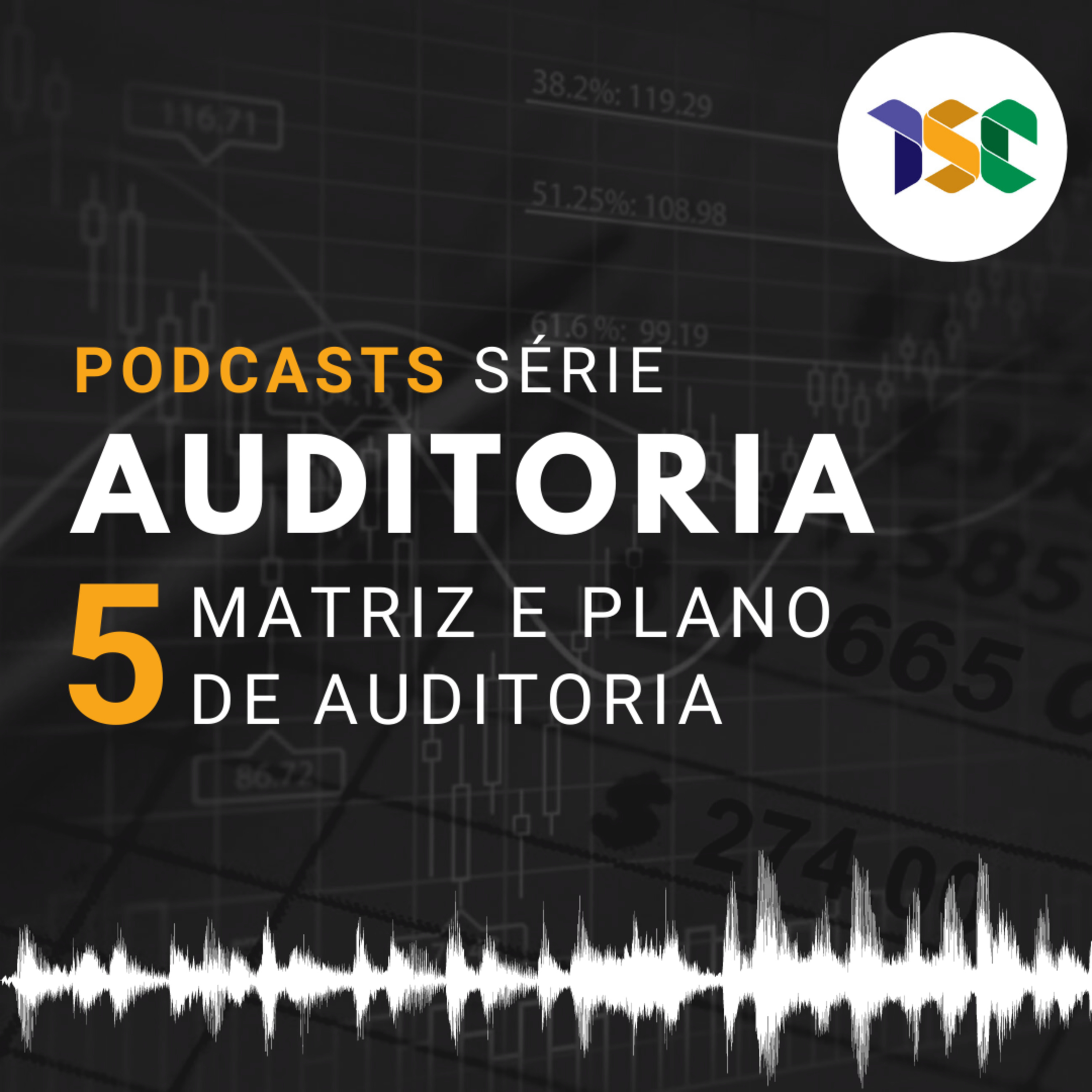 Cursos - Série Auditoria