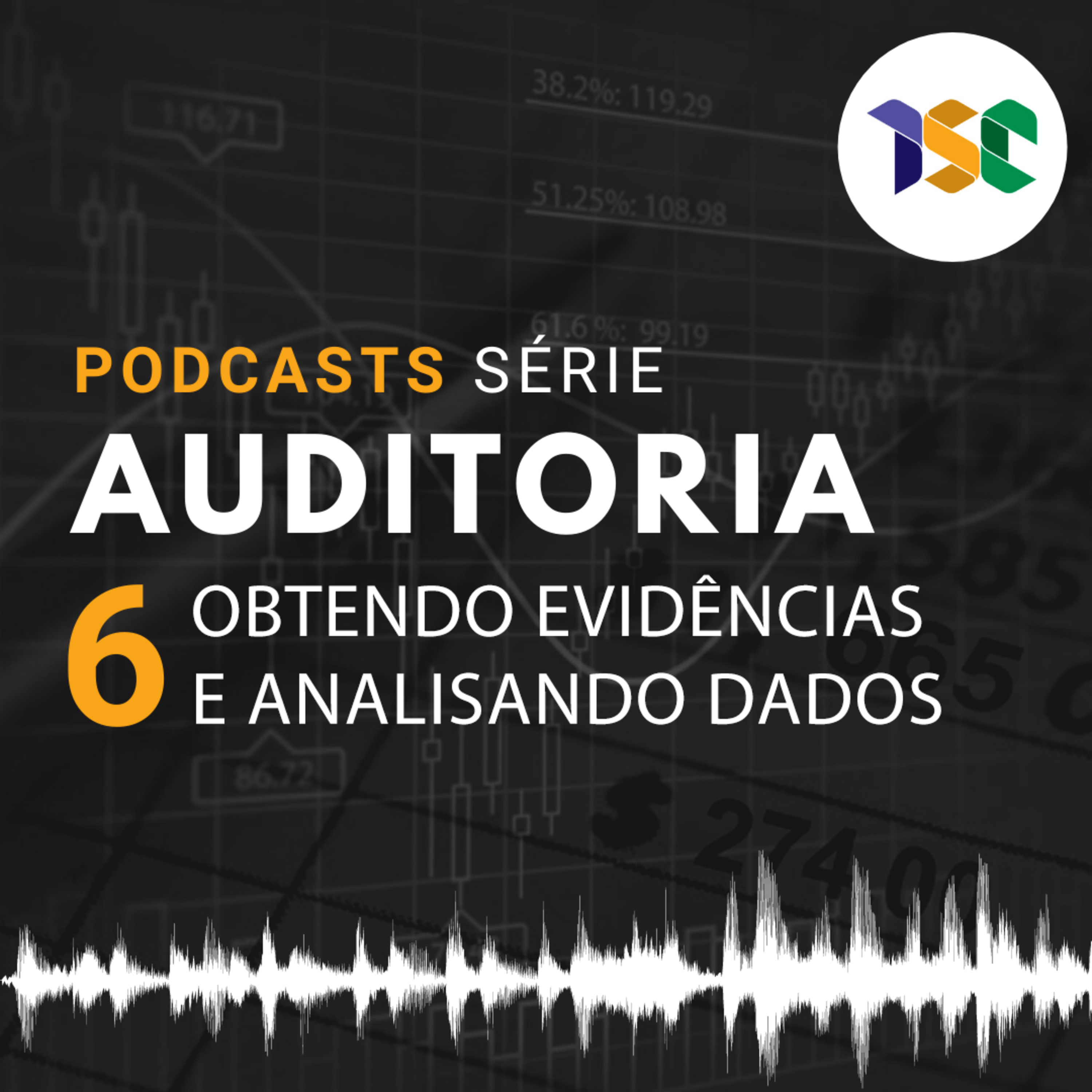 Cursos - Série Auditoria