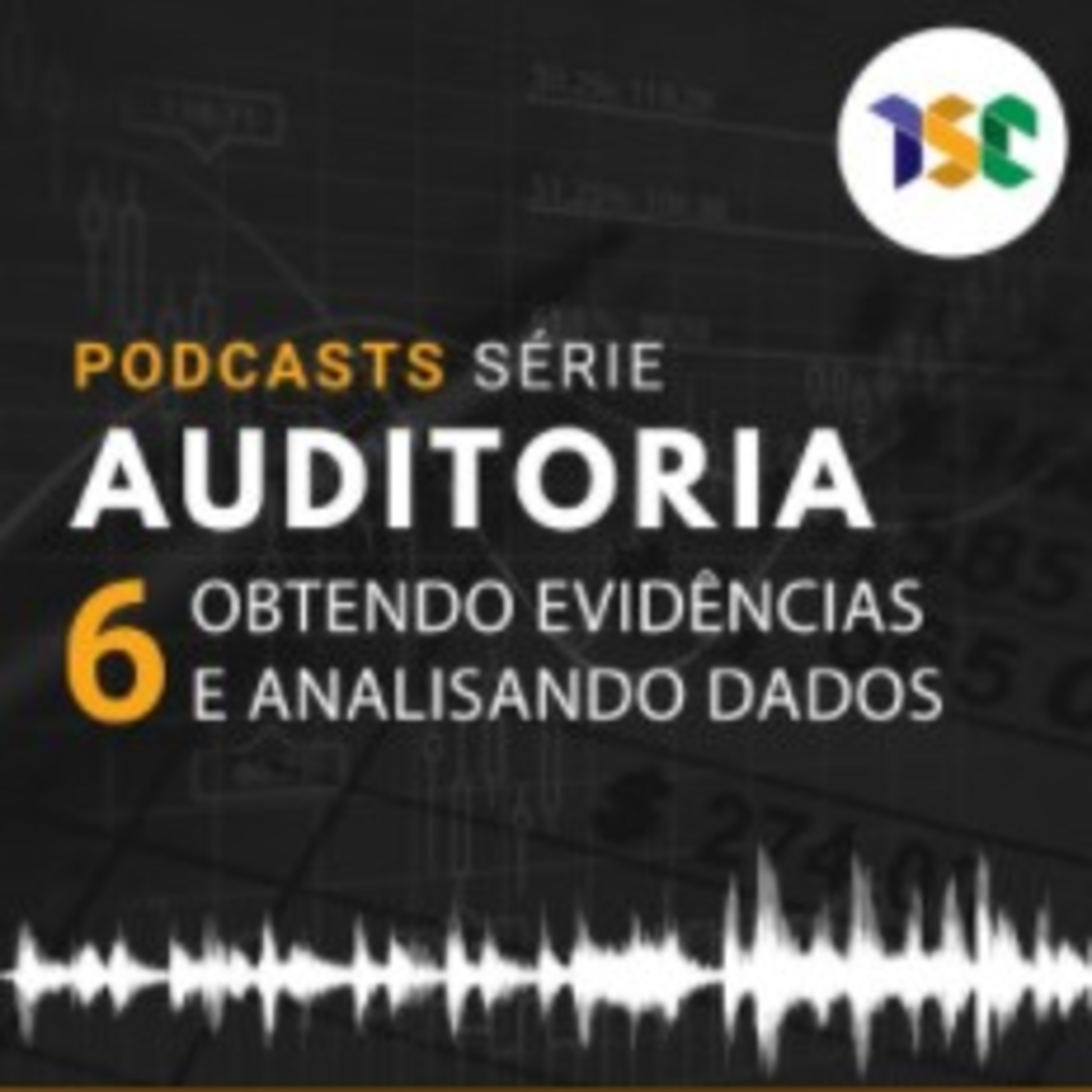 Cursos - Série Auditoria