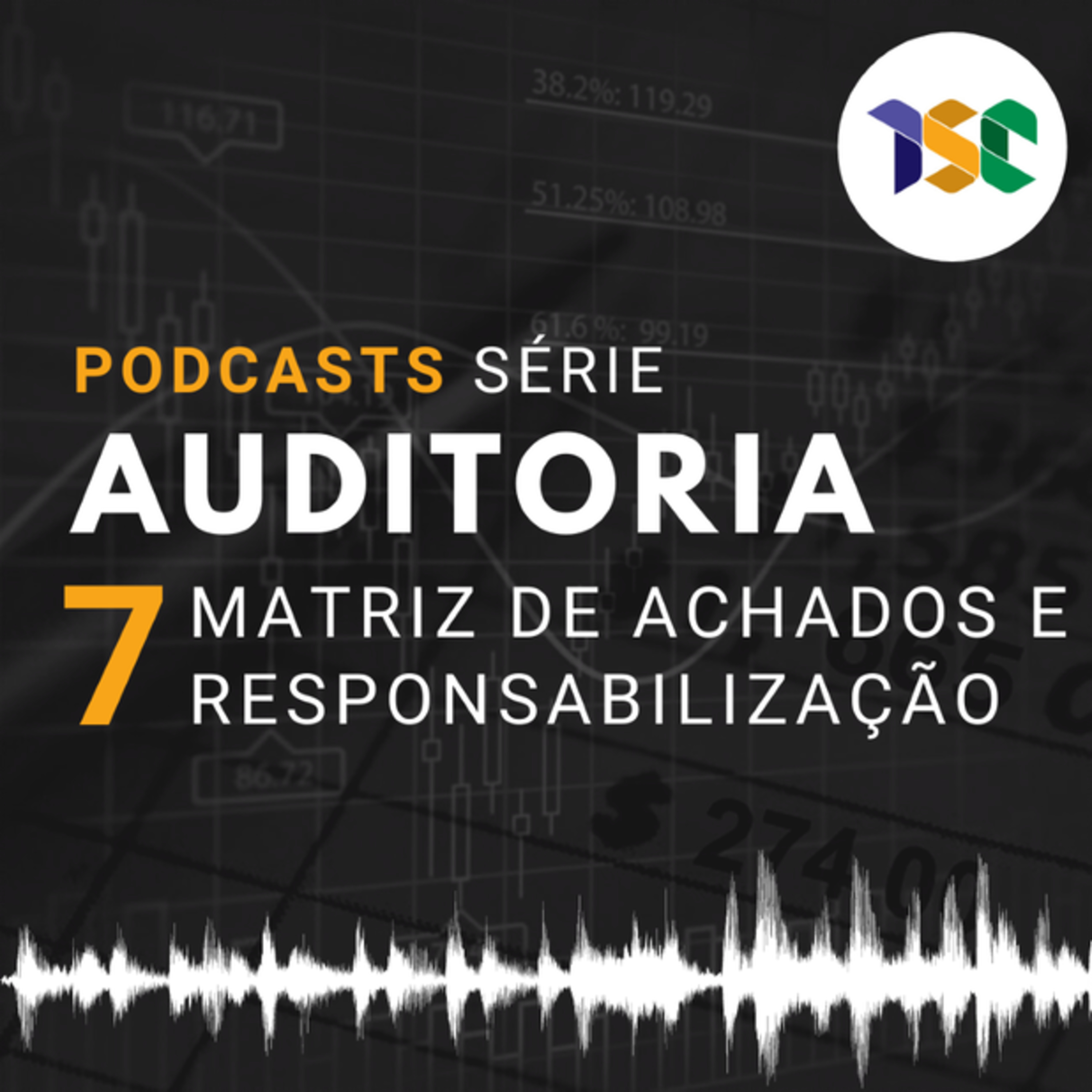 Cursos - Série Auditoria