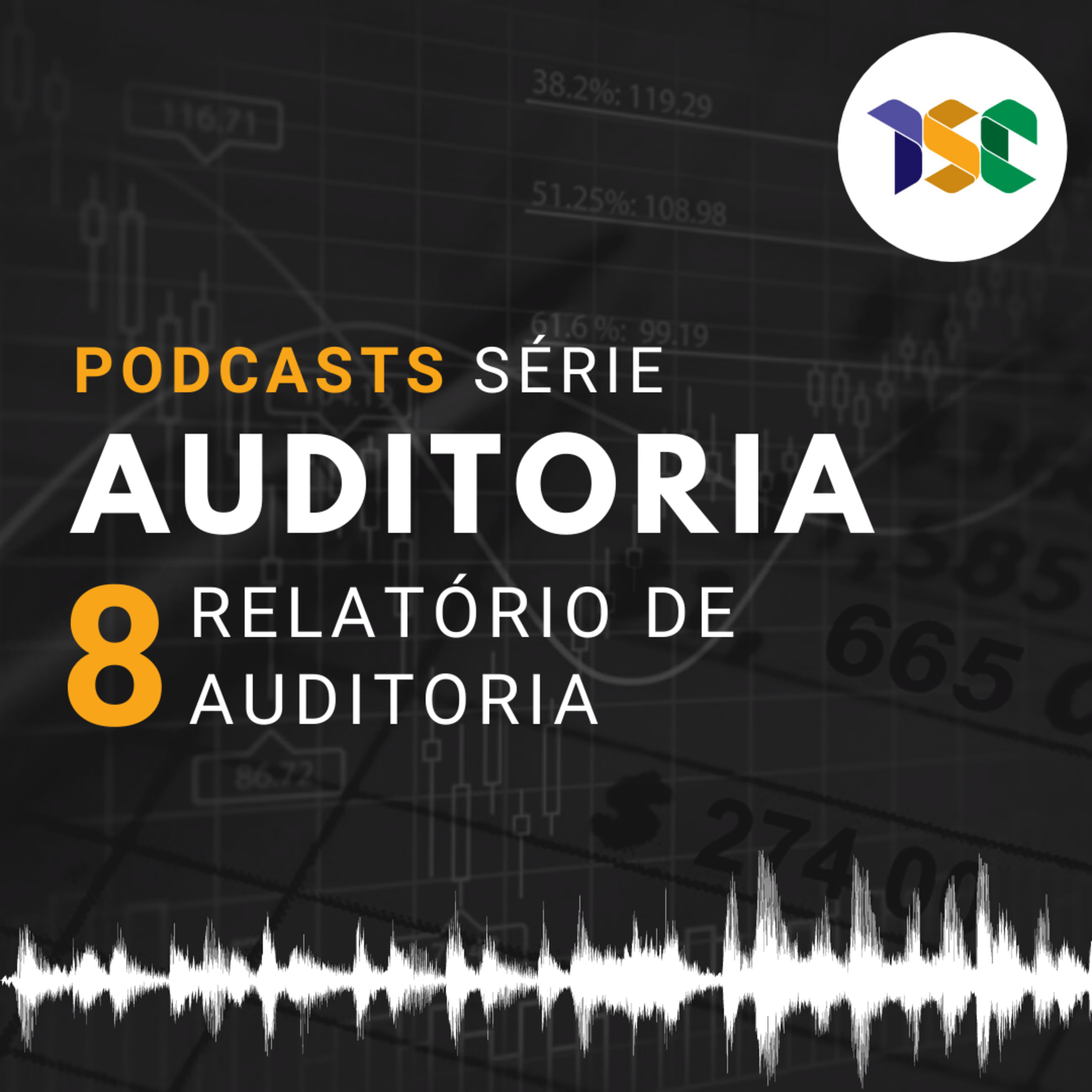 Cursos - Série Auditoria