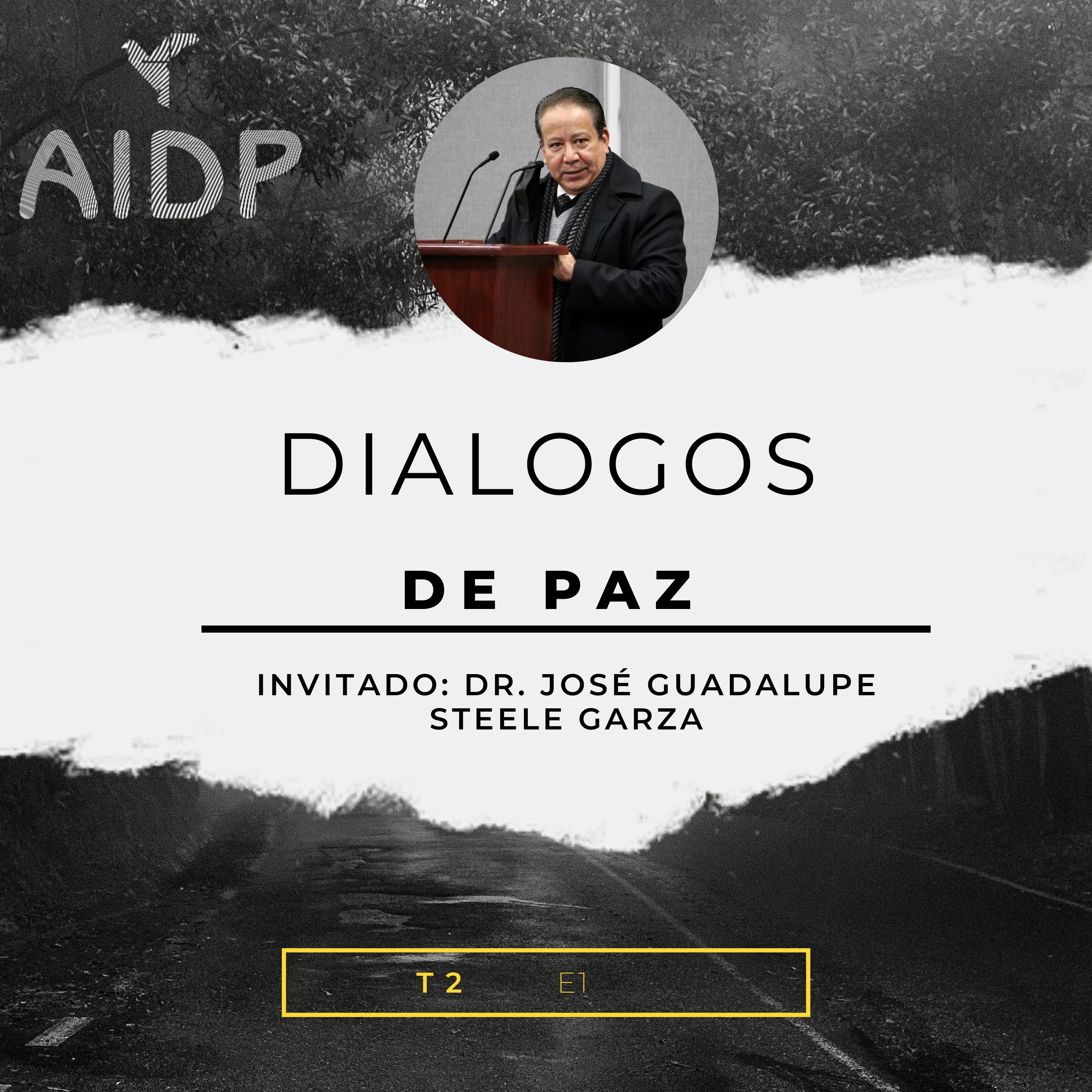 Diálogos de Paz