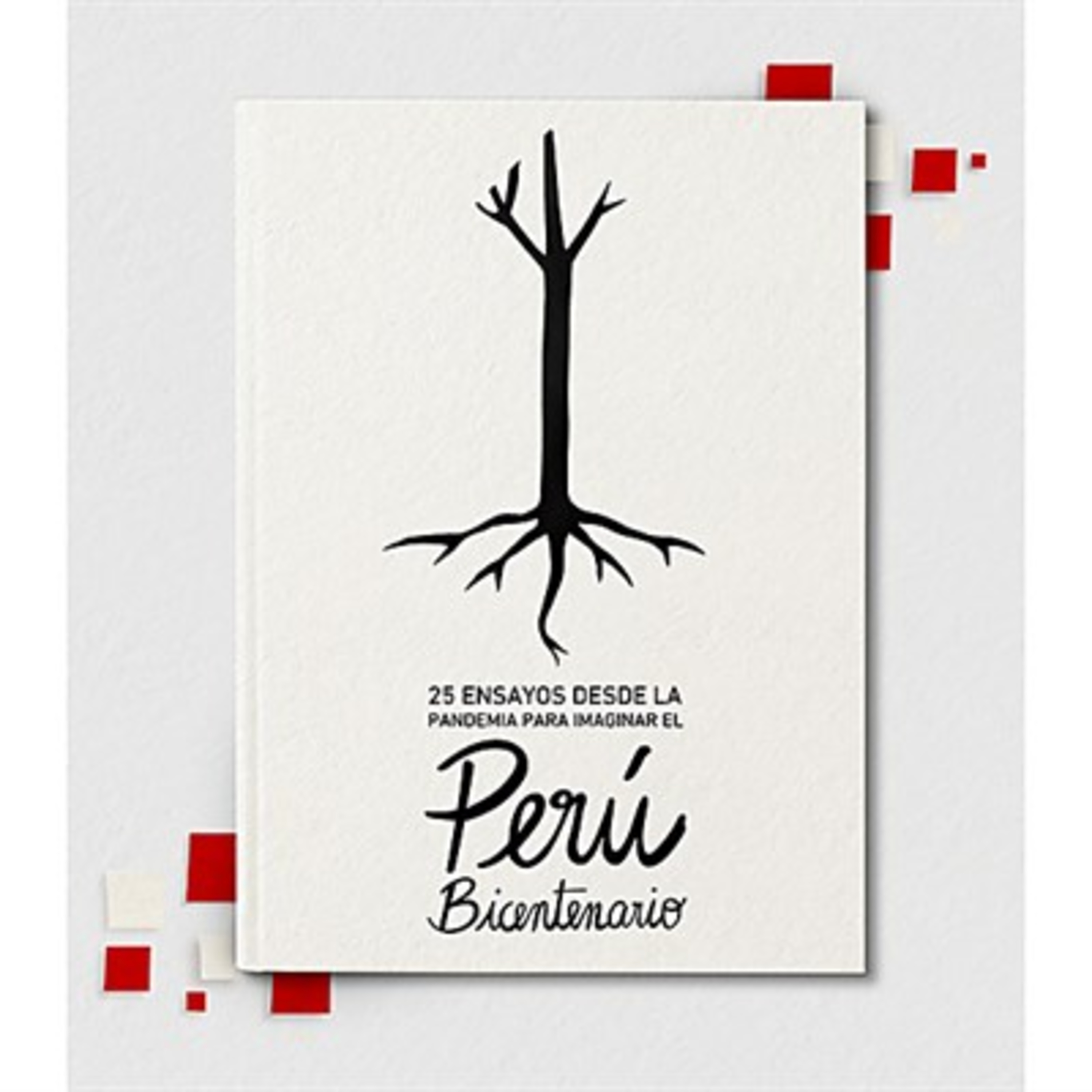 BICENTENARIO REPUBLICANO: DOLOR, RESILIENCIA Y ESPERANZA episode artwork