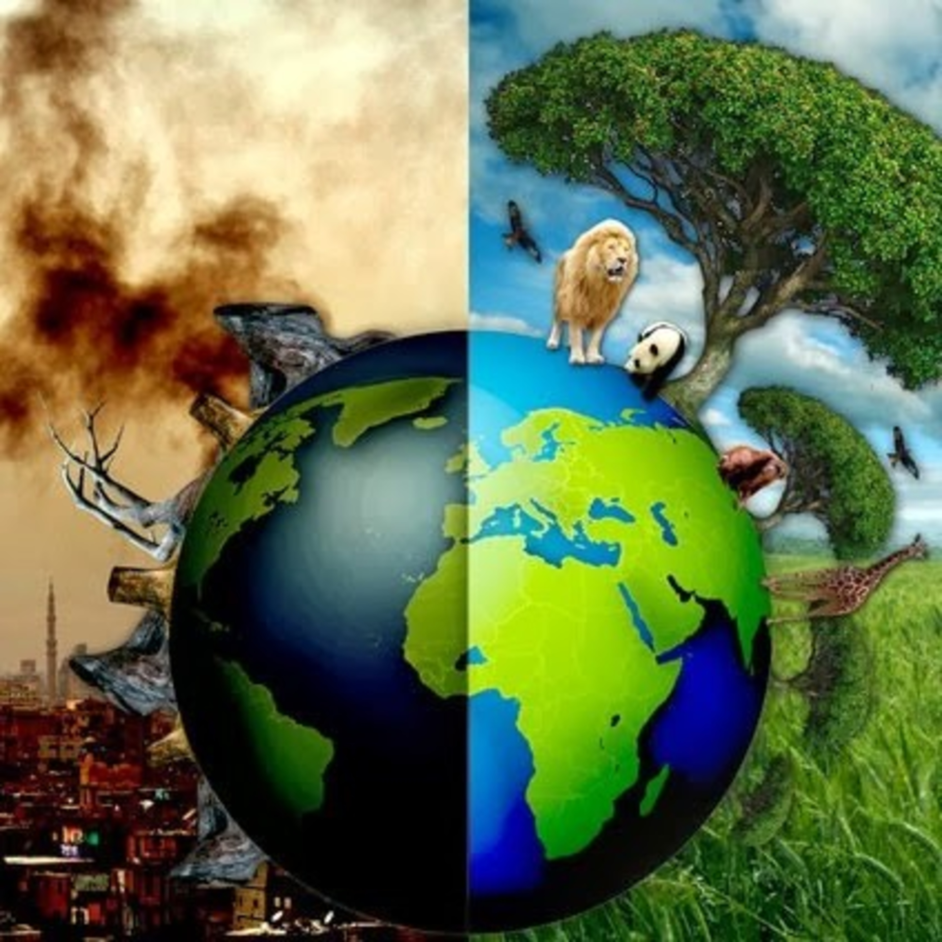 CONTAMINACIÓN DEL AIRE, CAUSAS Y CONSECUENCIAS episode artwork