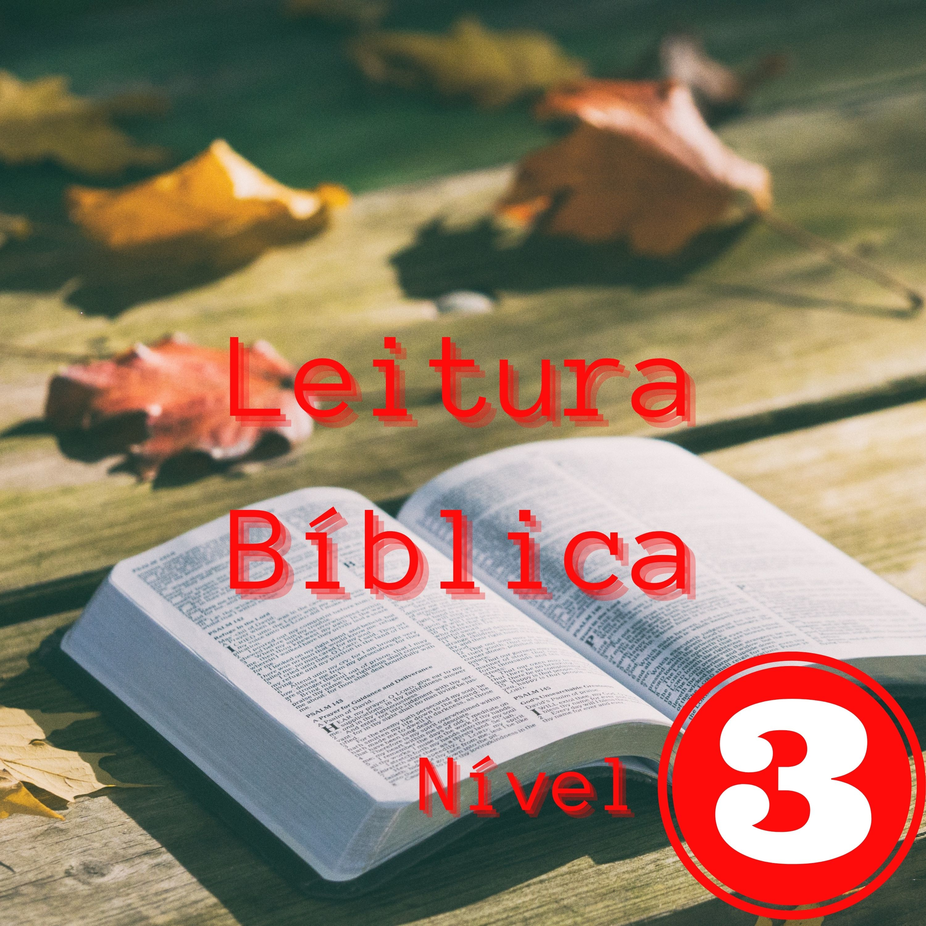 Lectio Divina