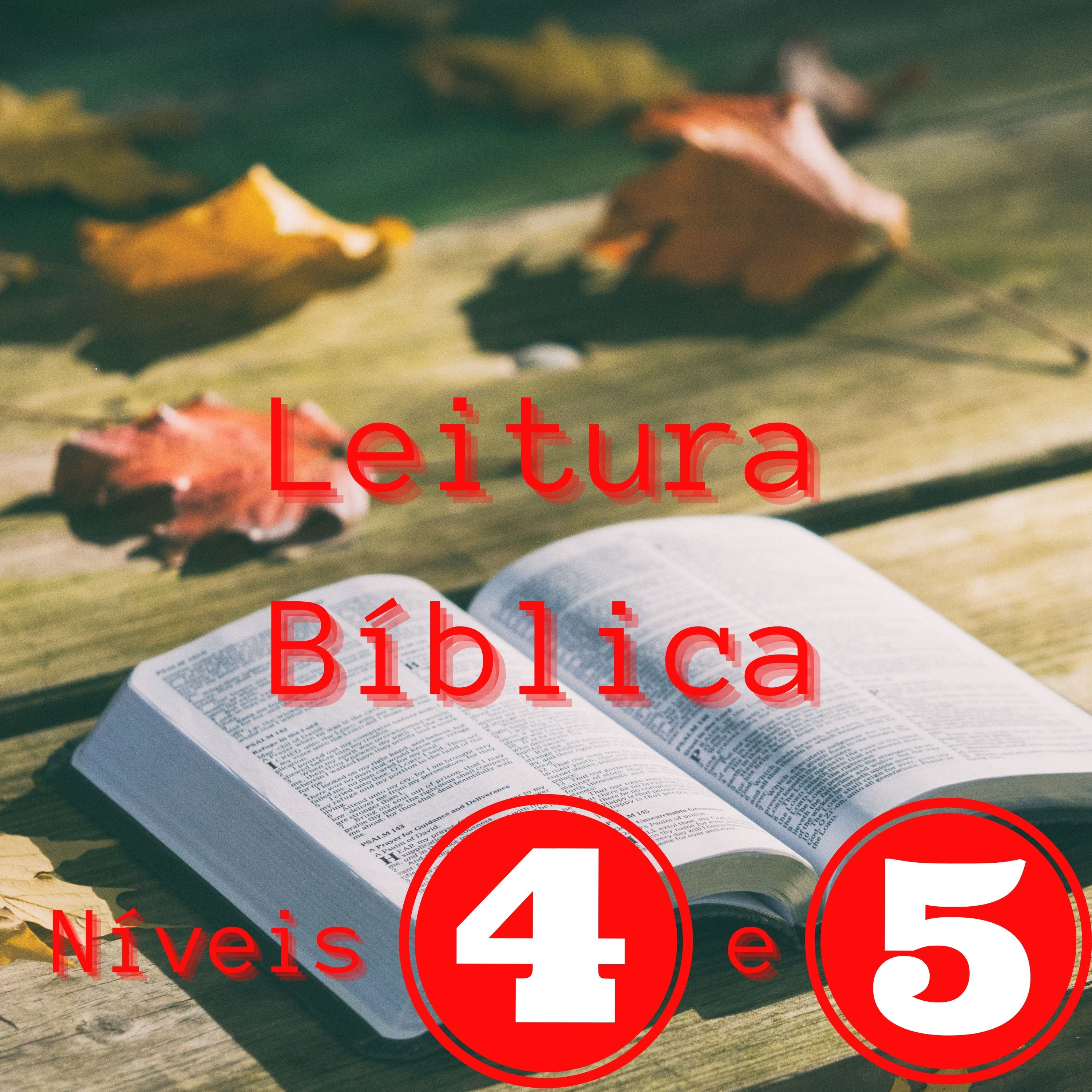 Leituras Querigmática e Exegética