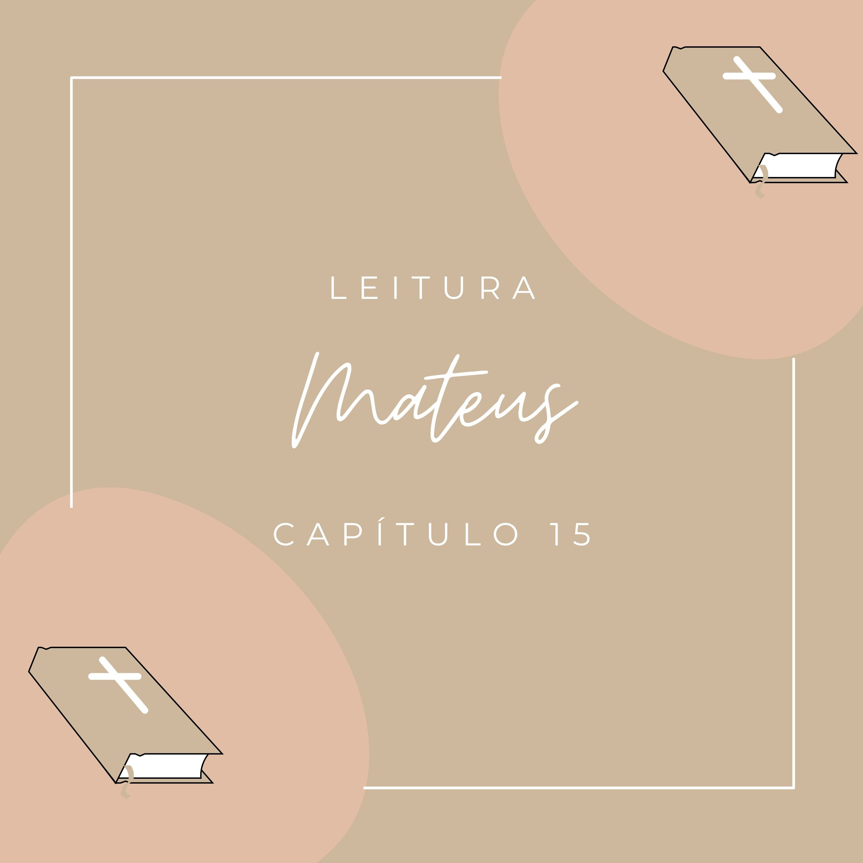 Mateus - Capítulo 15