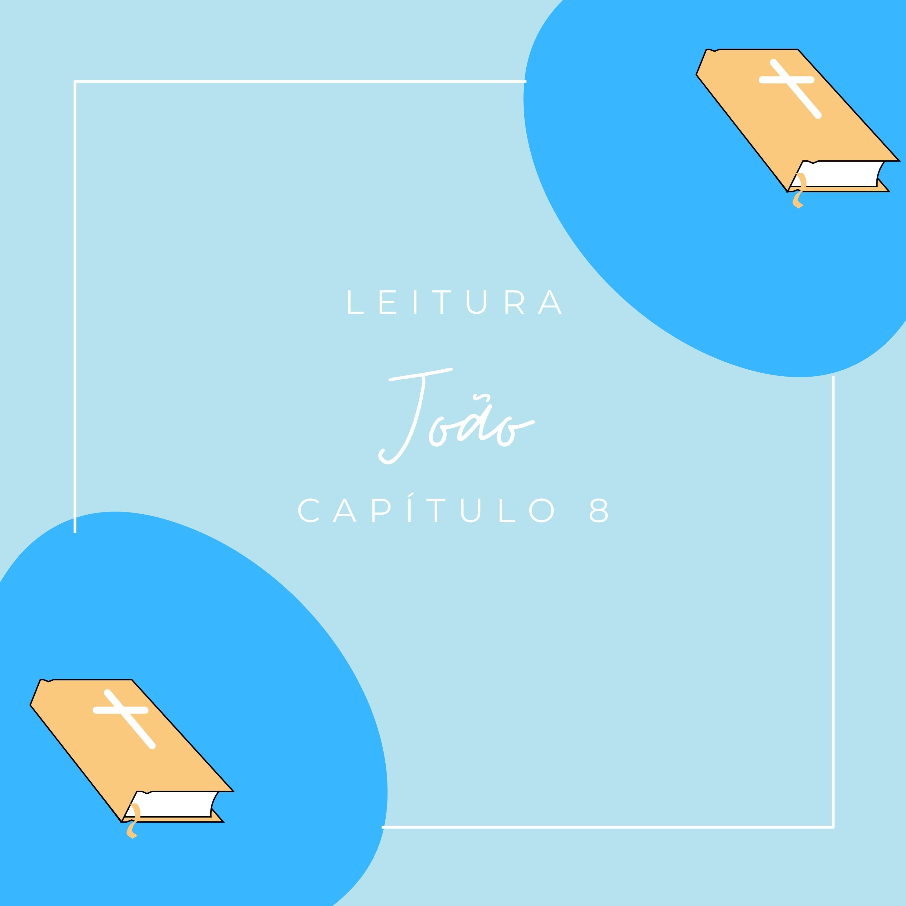 João - Capítulo 8