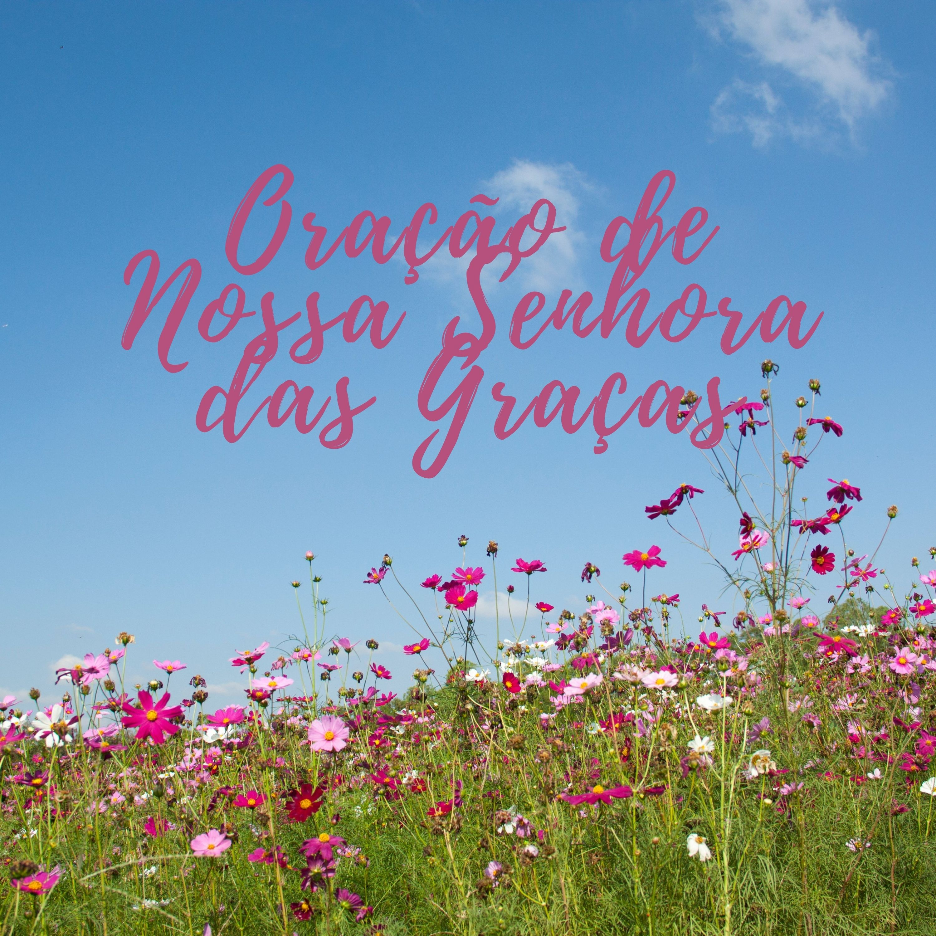 Oração de Nossa Senhora das Graças episode artwork