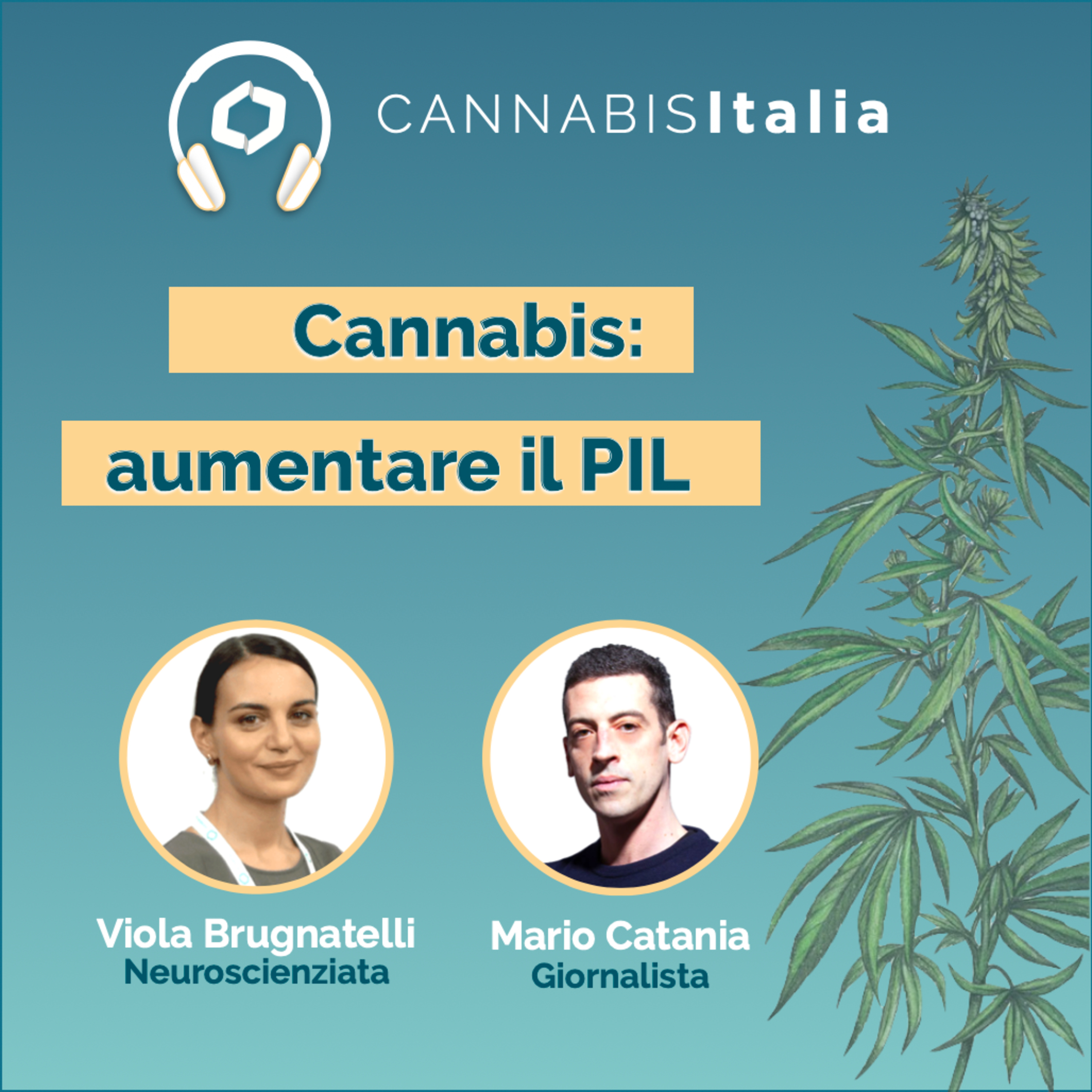 Cannabis Italia