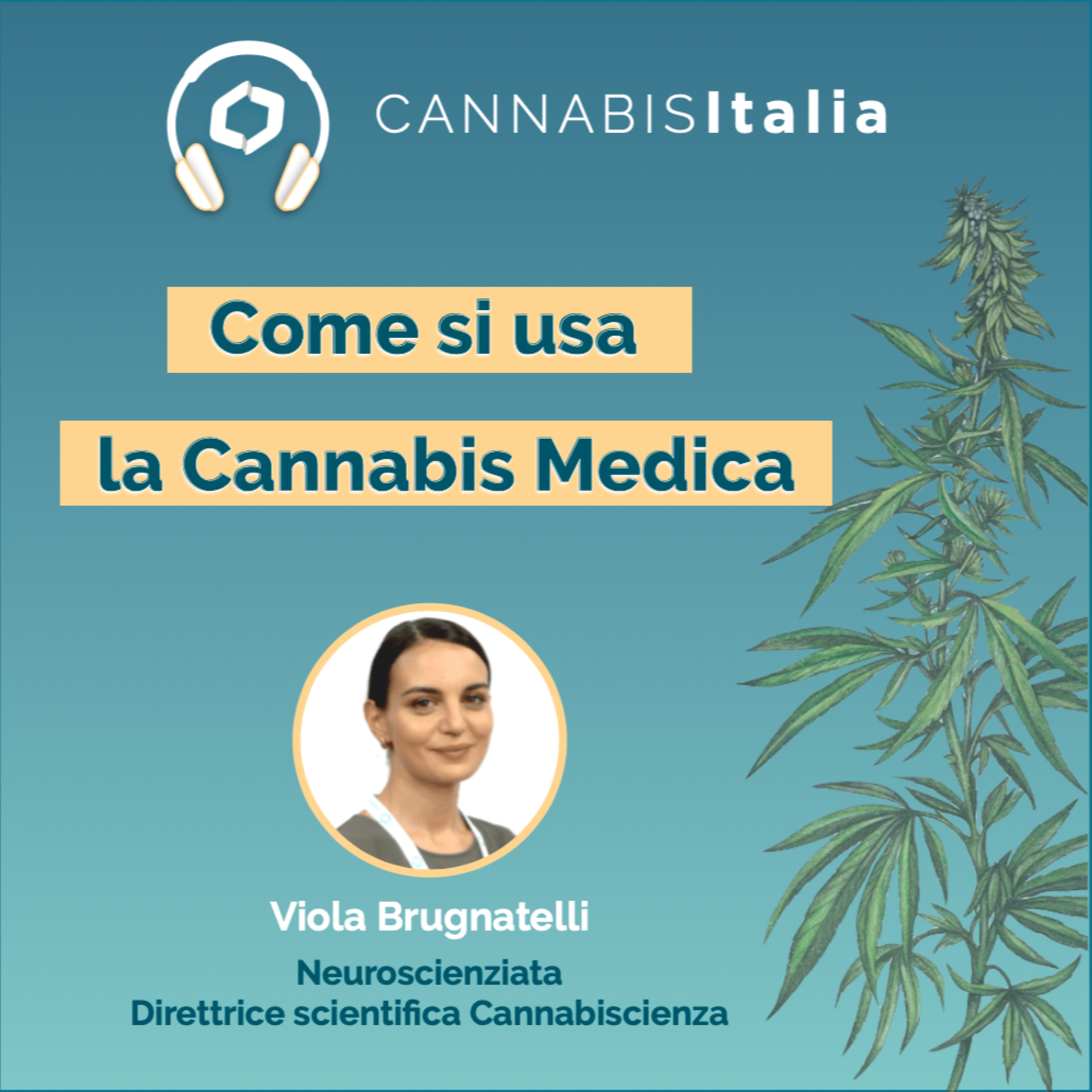 Cannabis Italia
