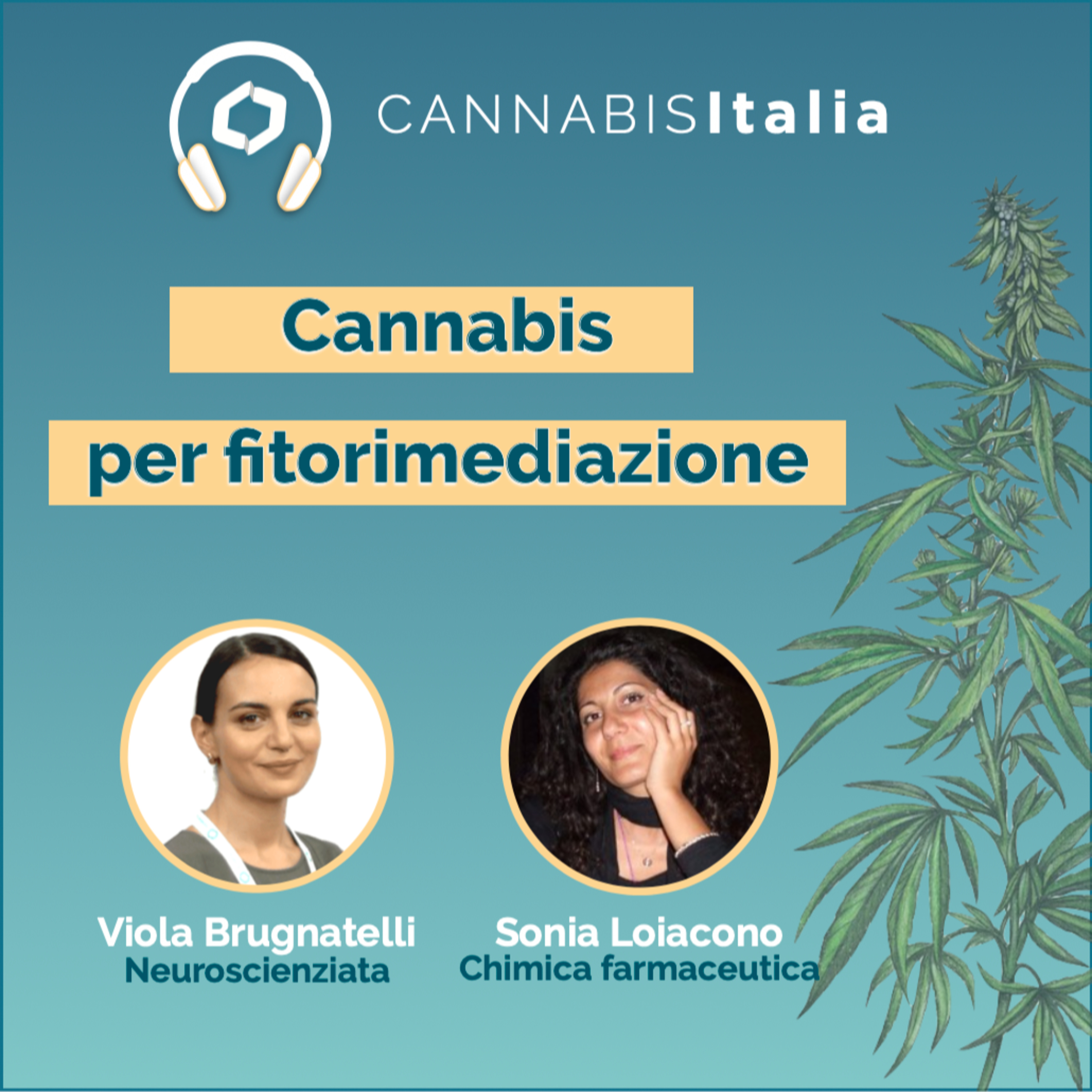 Cannabis Italia