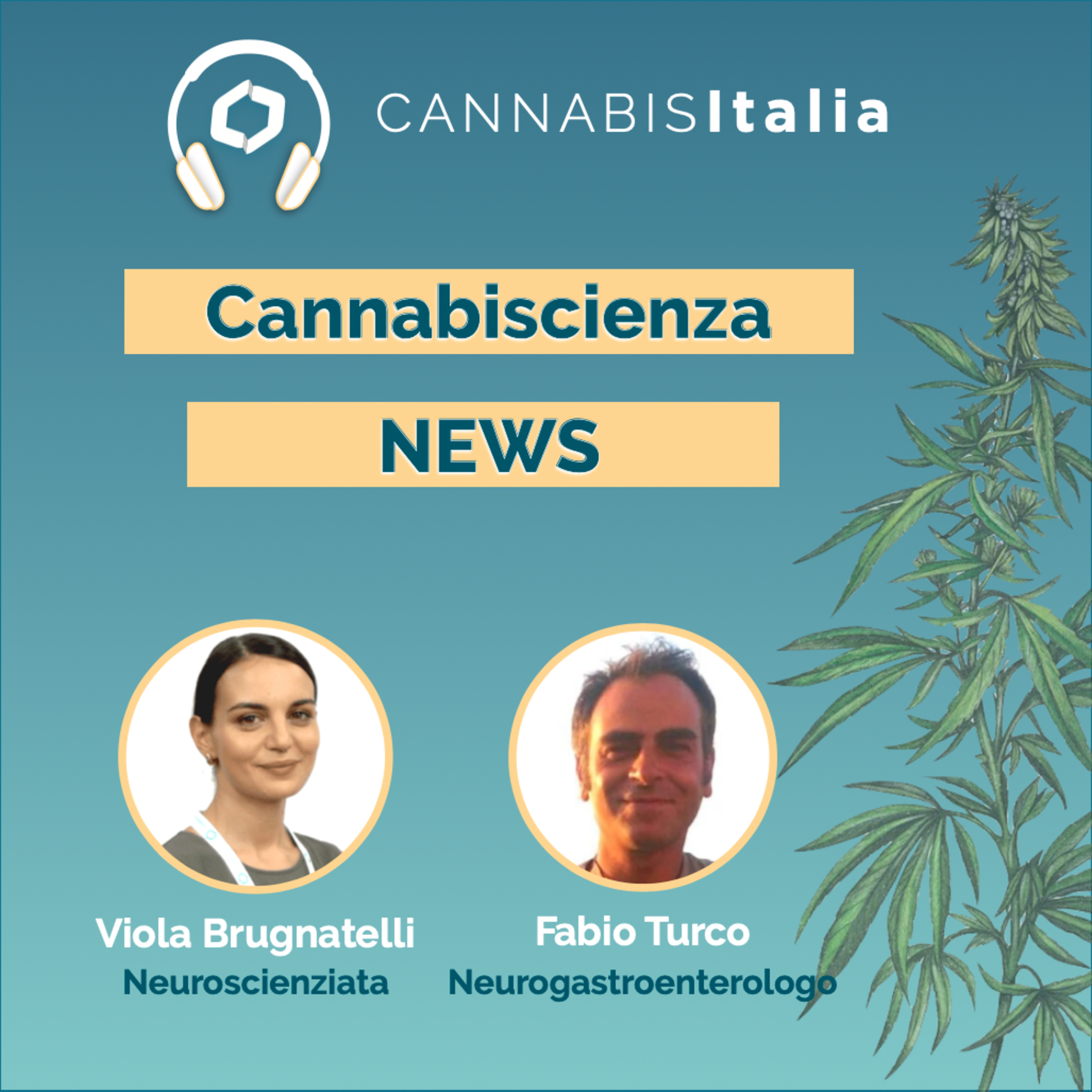 Cannabis Italia