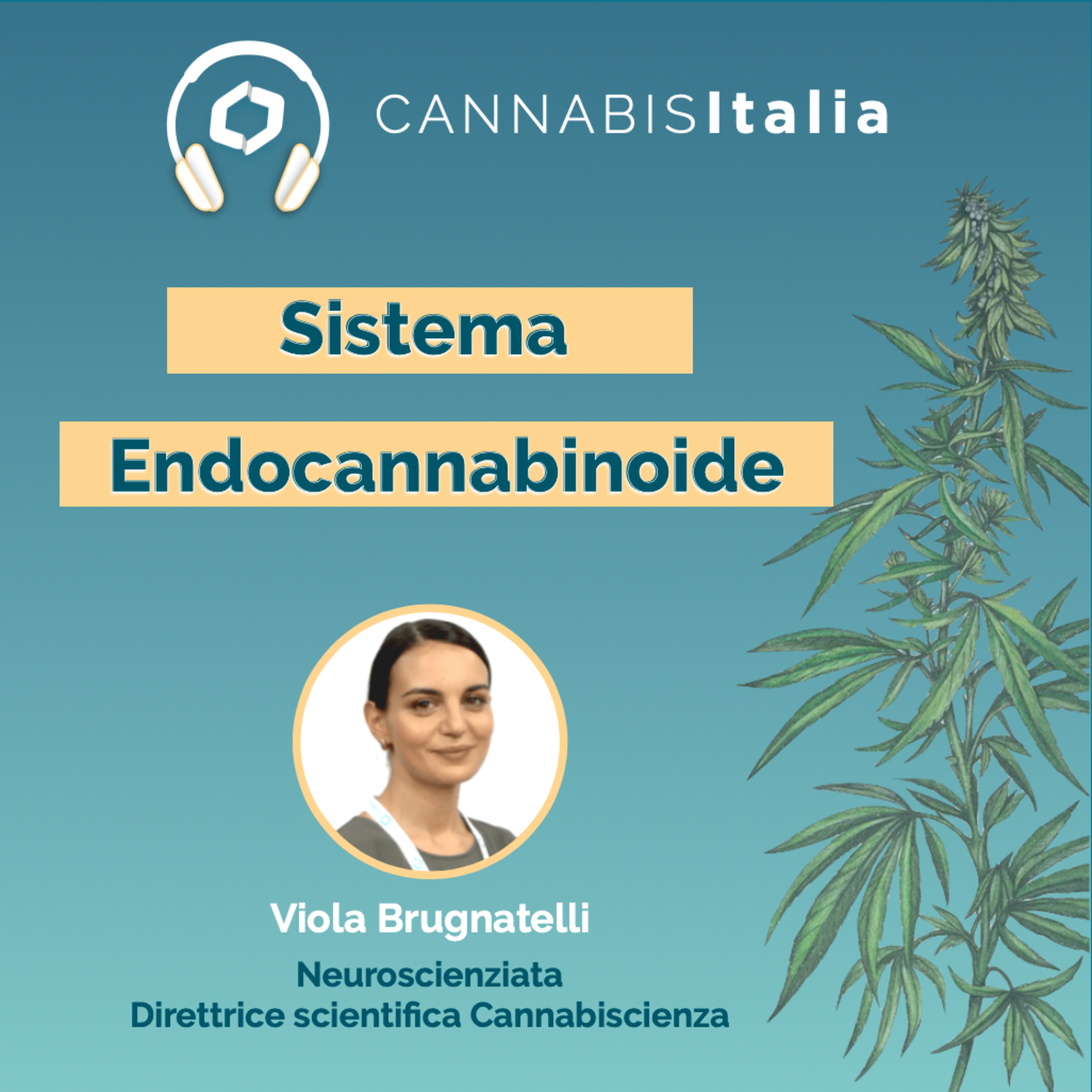 Cannabis Italia