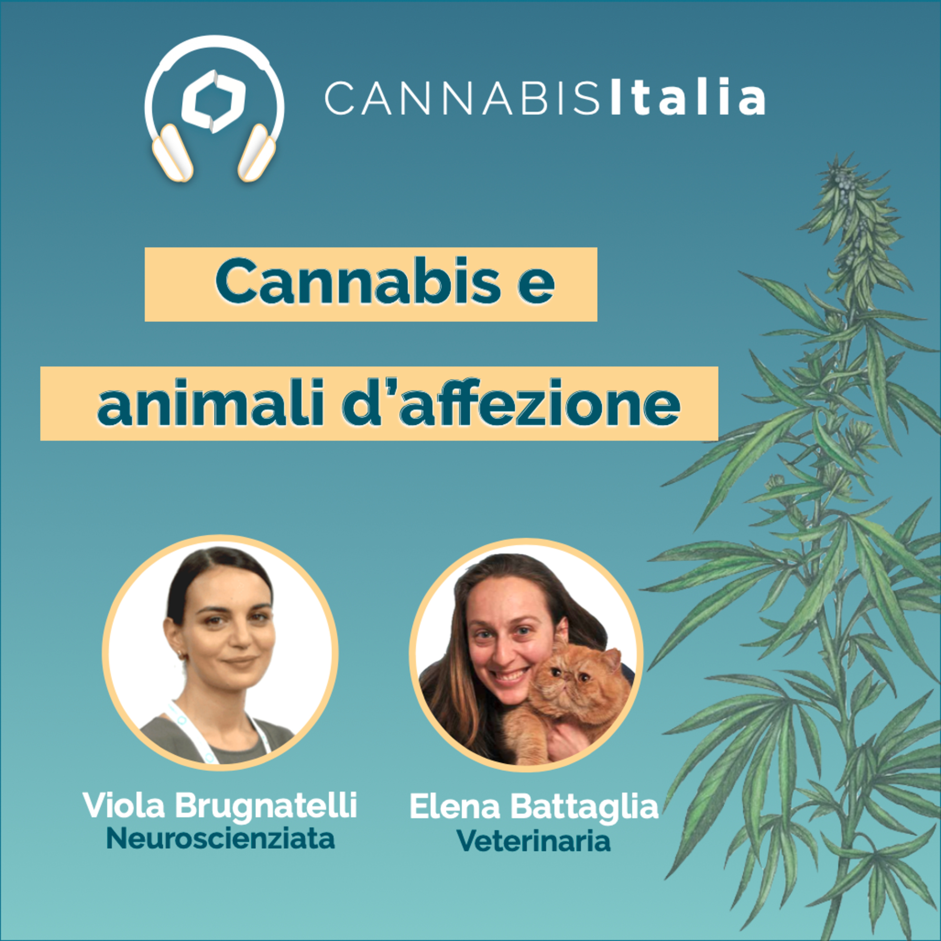 Cannabis Italia