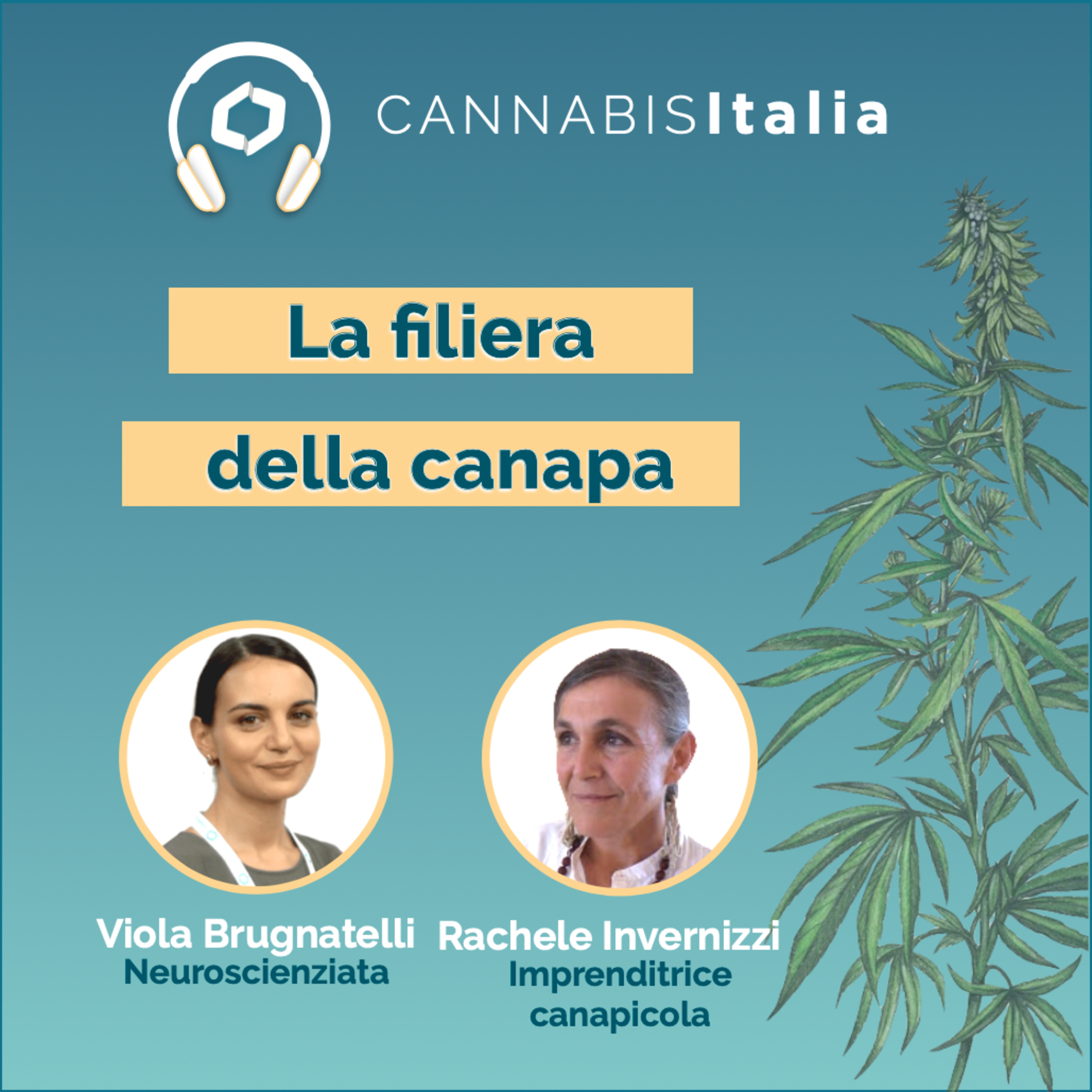 Cannabis Italia
