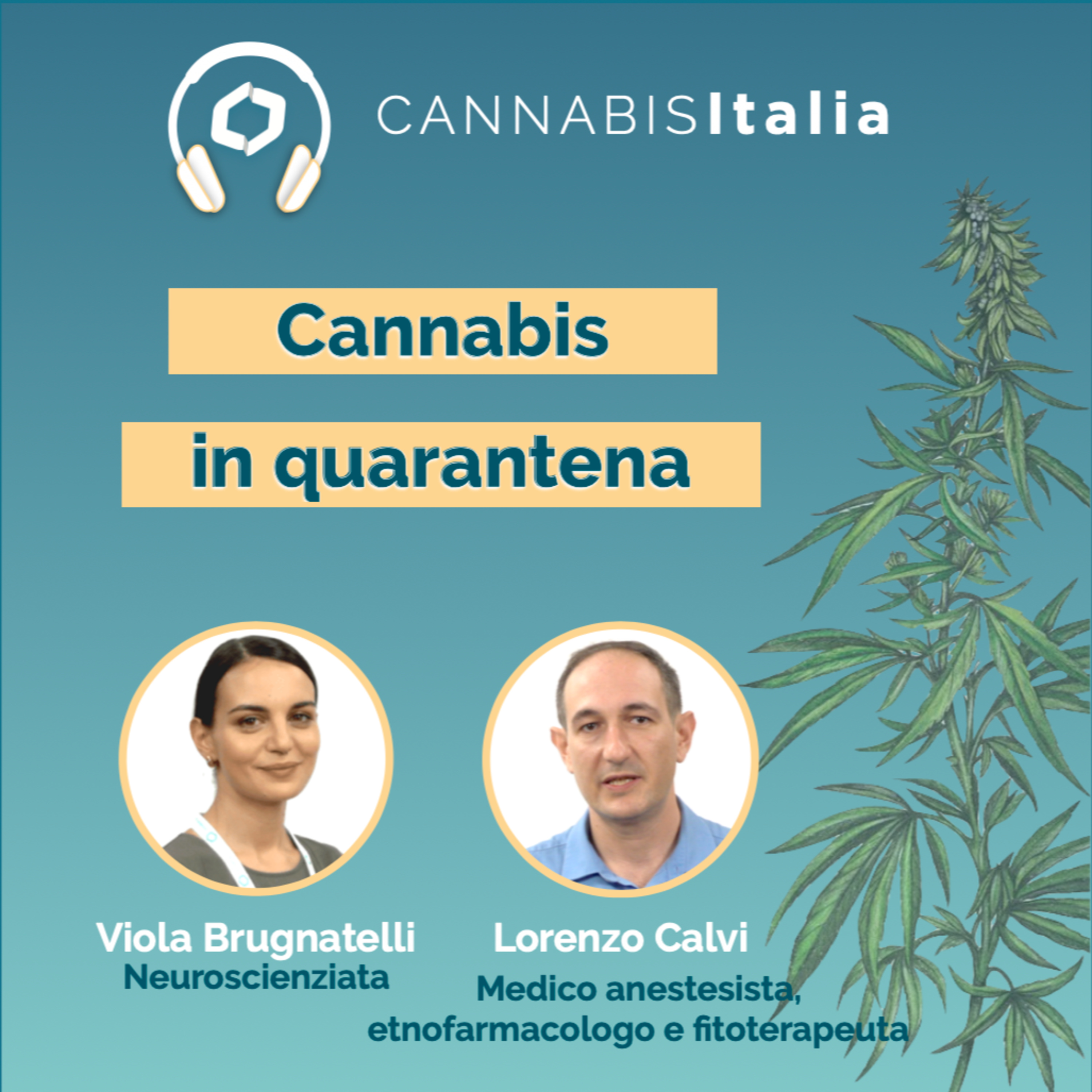 Cannabis Italia