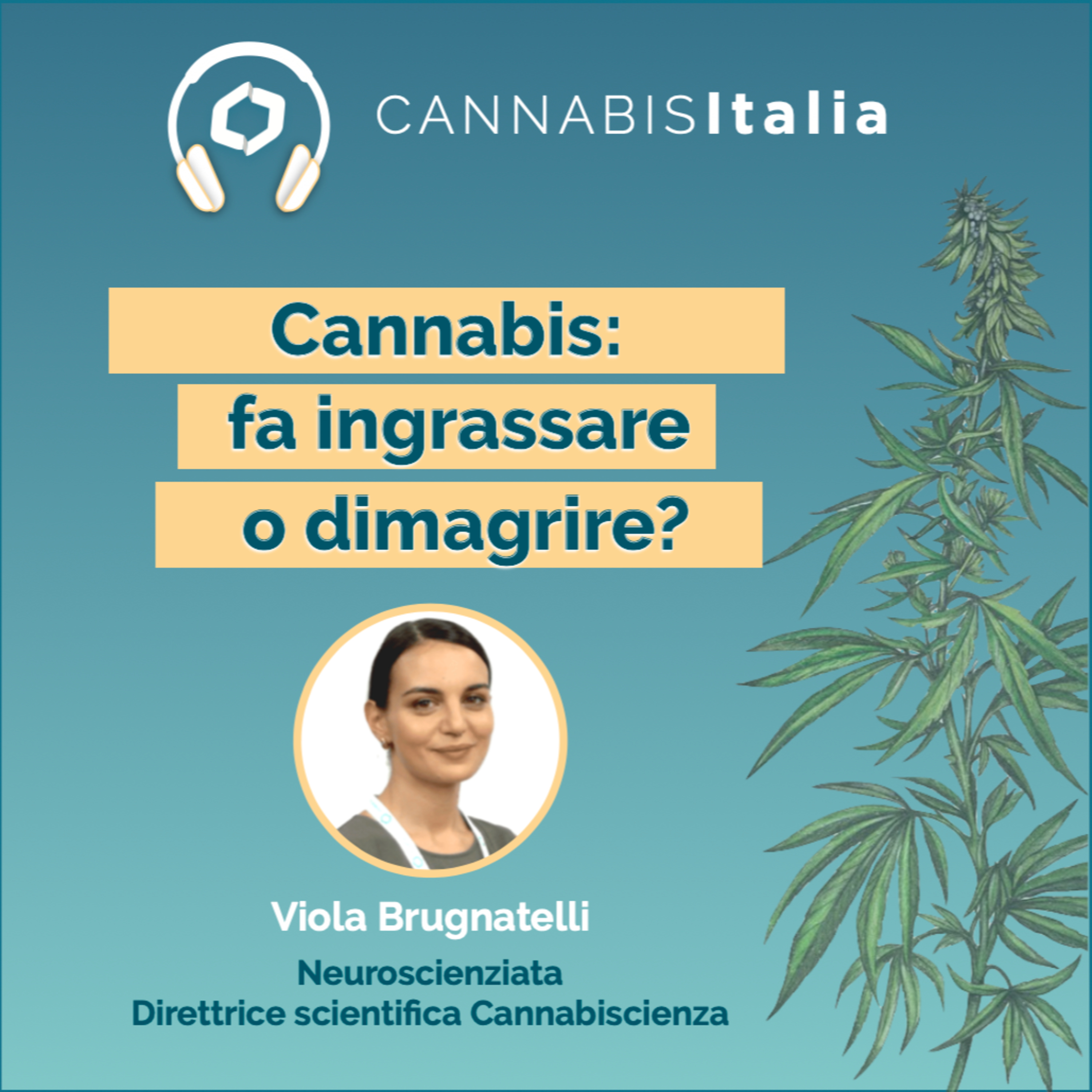 Cannabis Italia
