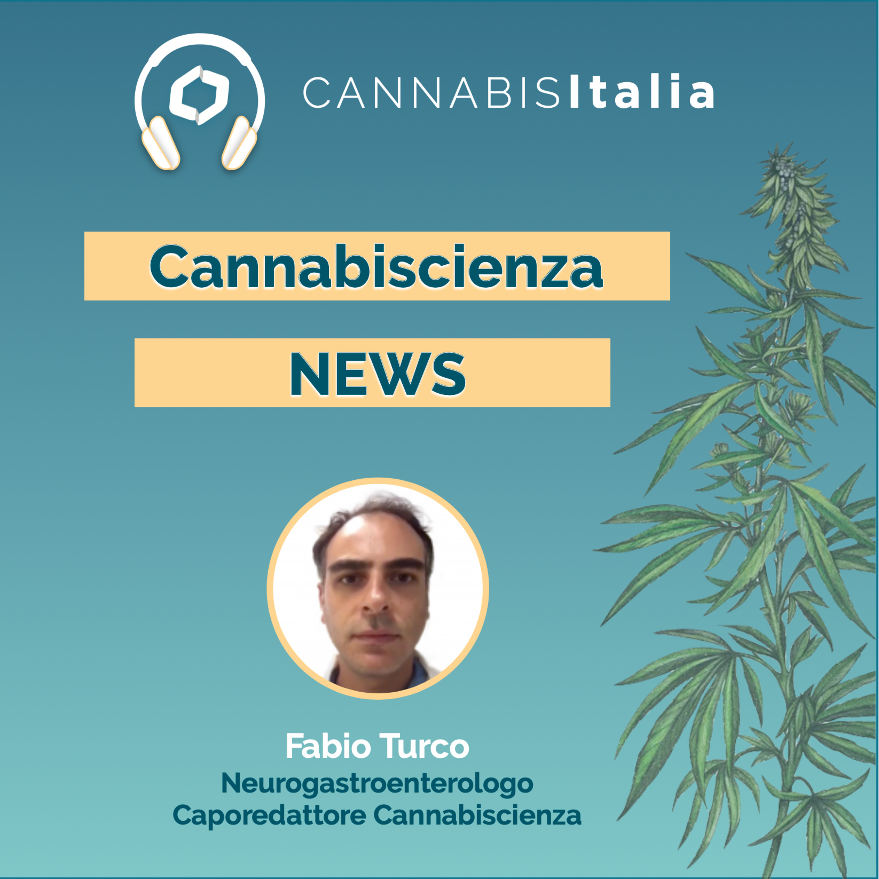 Cannabis Italia