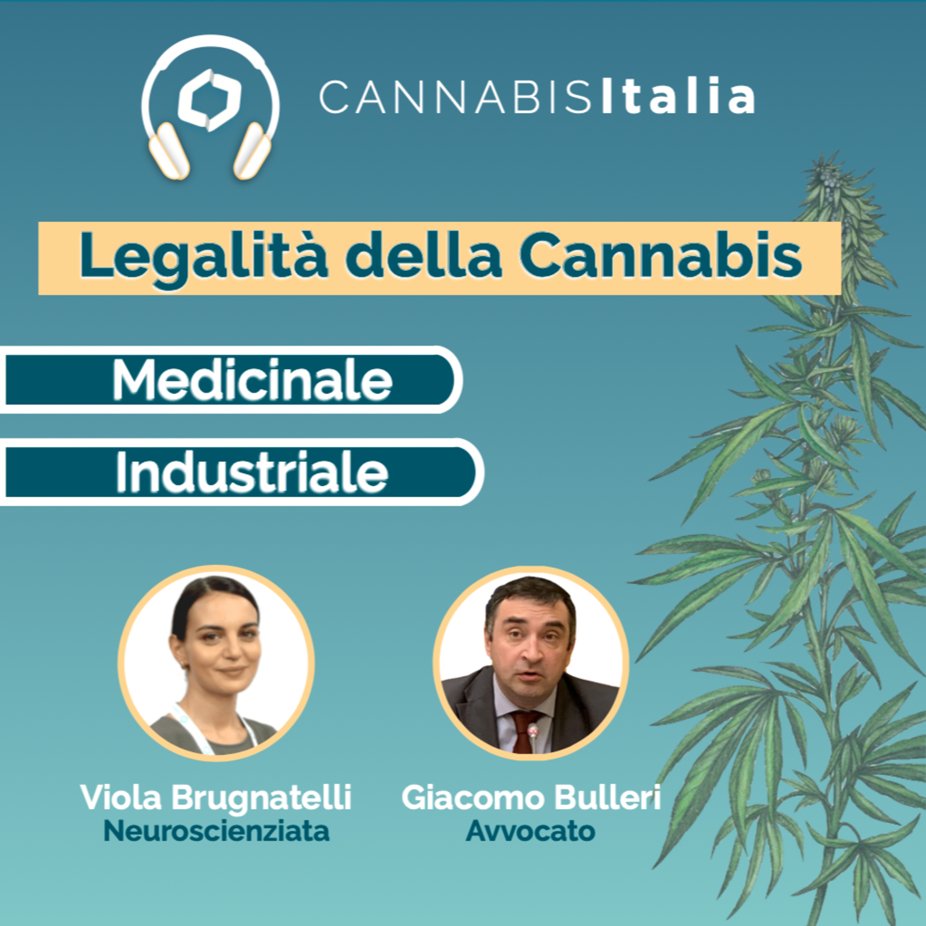 Cannabis Italia