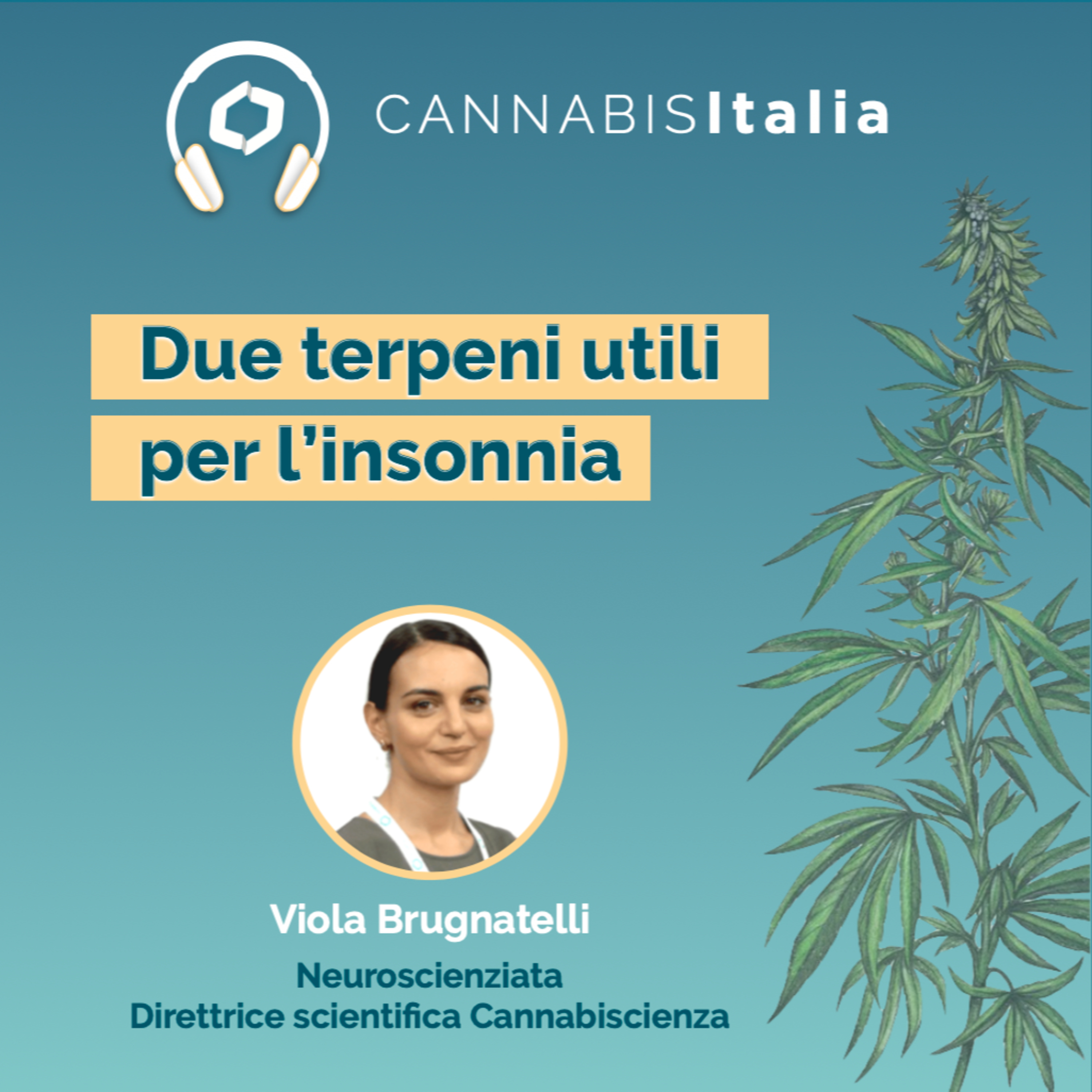 Cannabis Italia