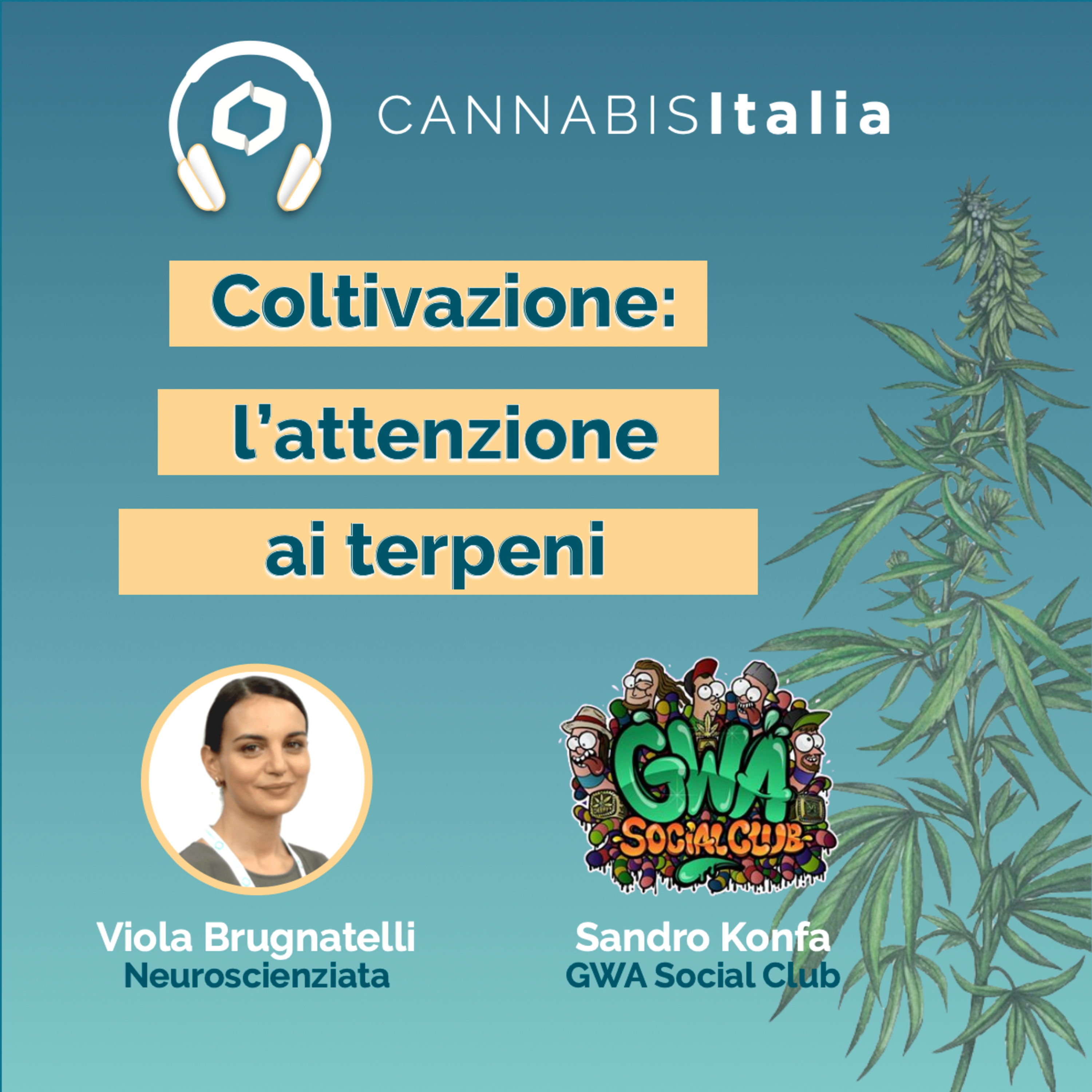 Cannabis Italia