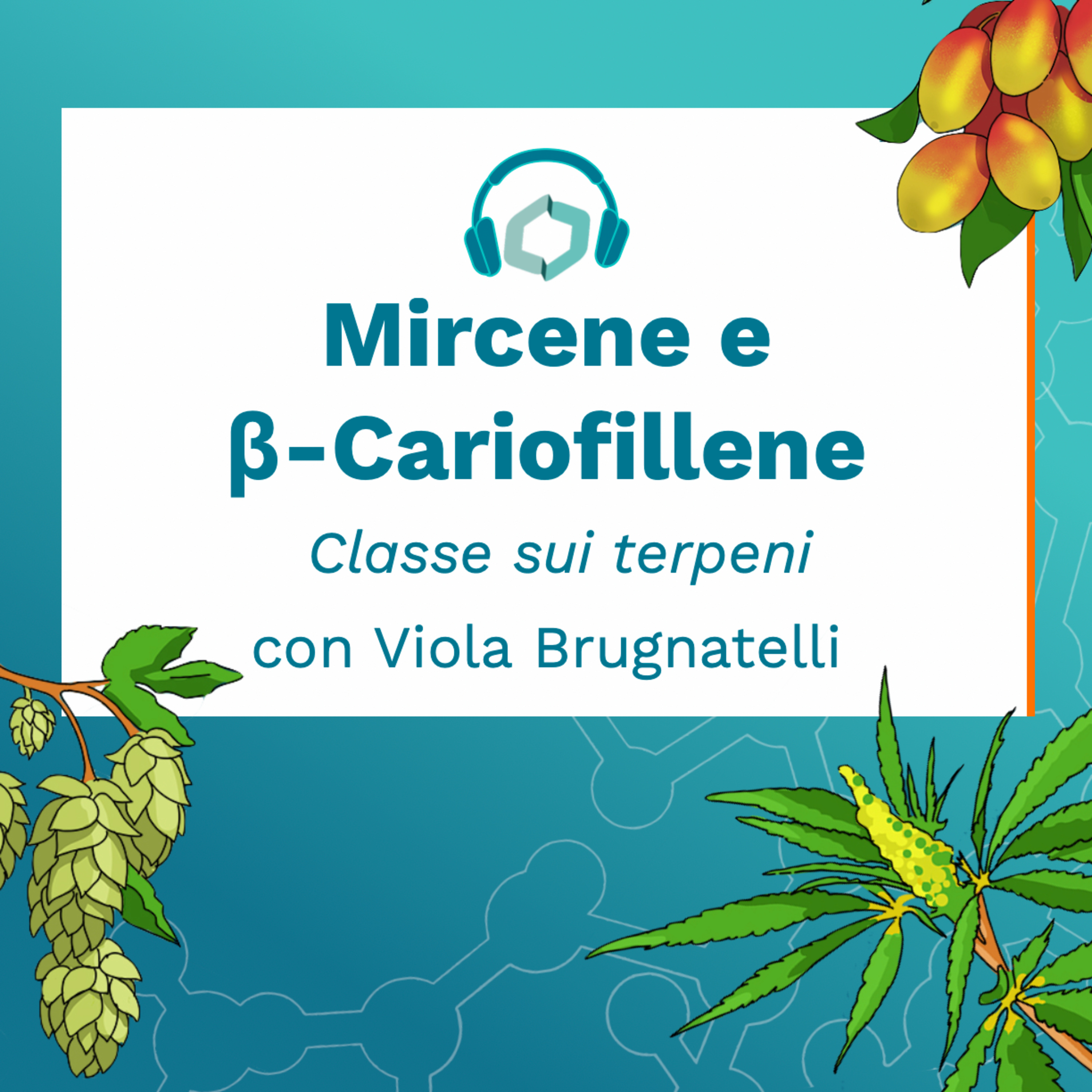 Cannabis Italia