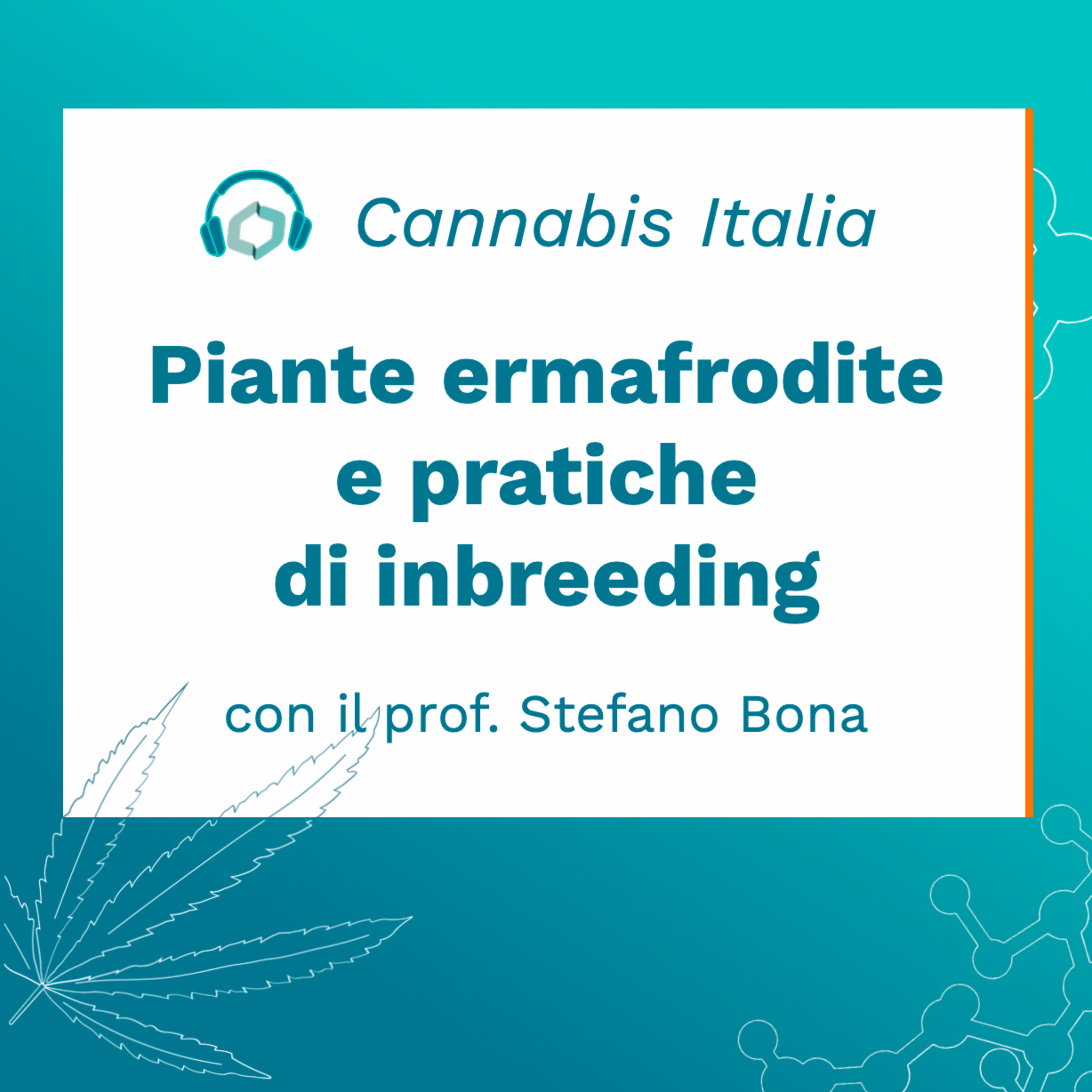 Cannabis Italia