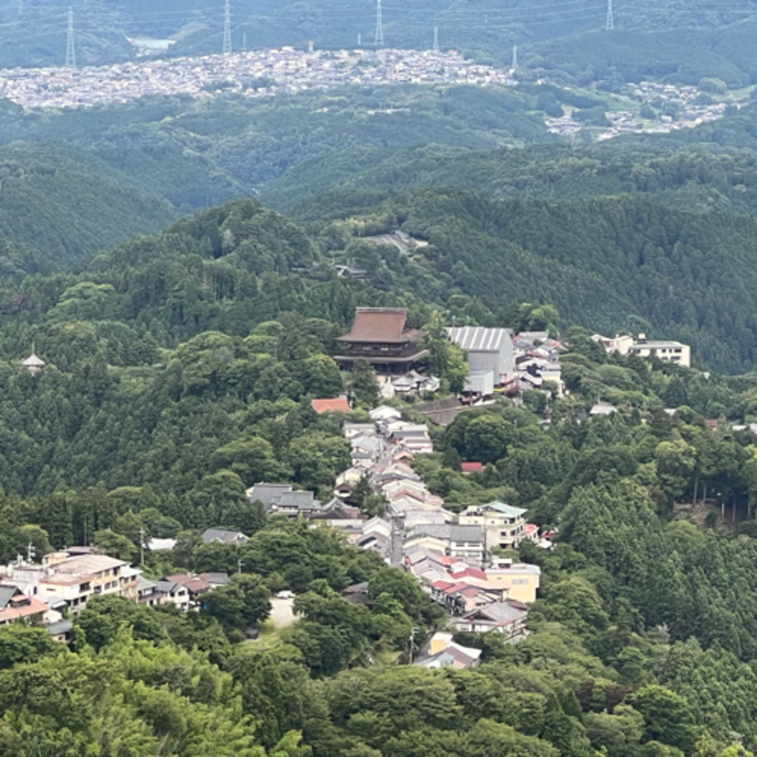 吉野山に来ています episode artwork