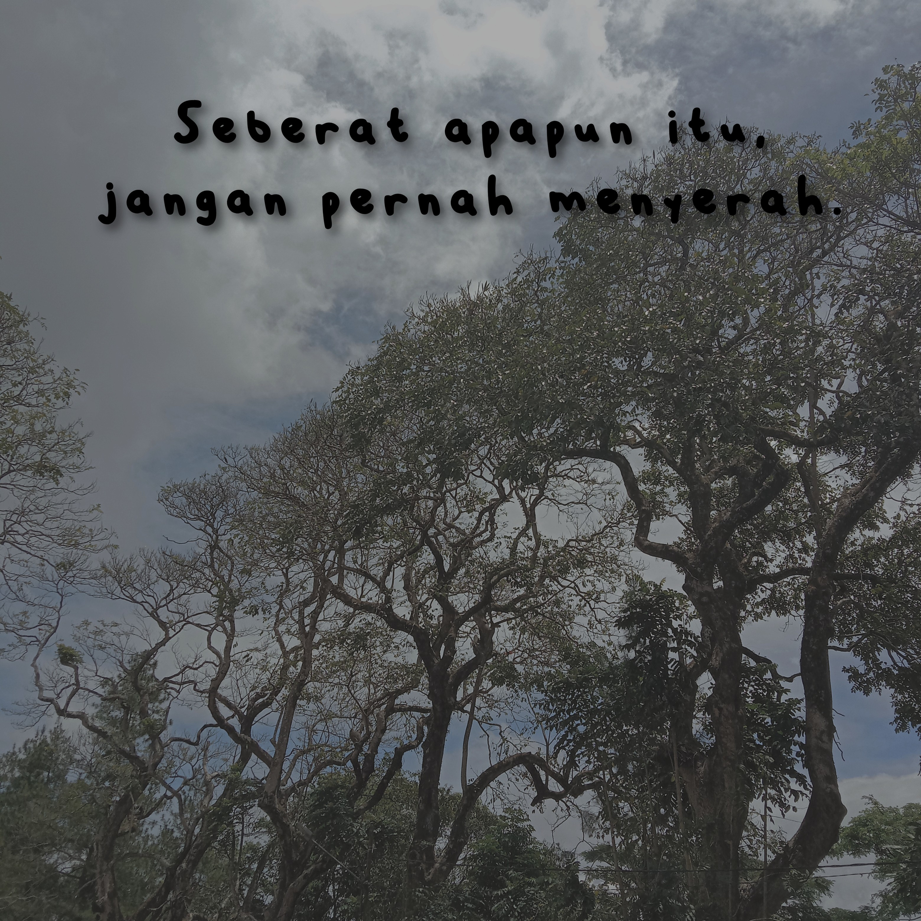 Sinar Mimpi
