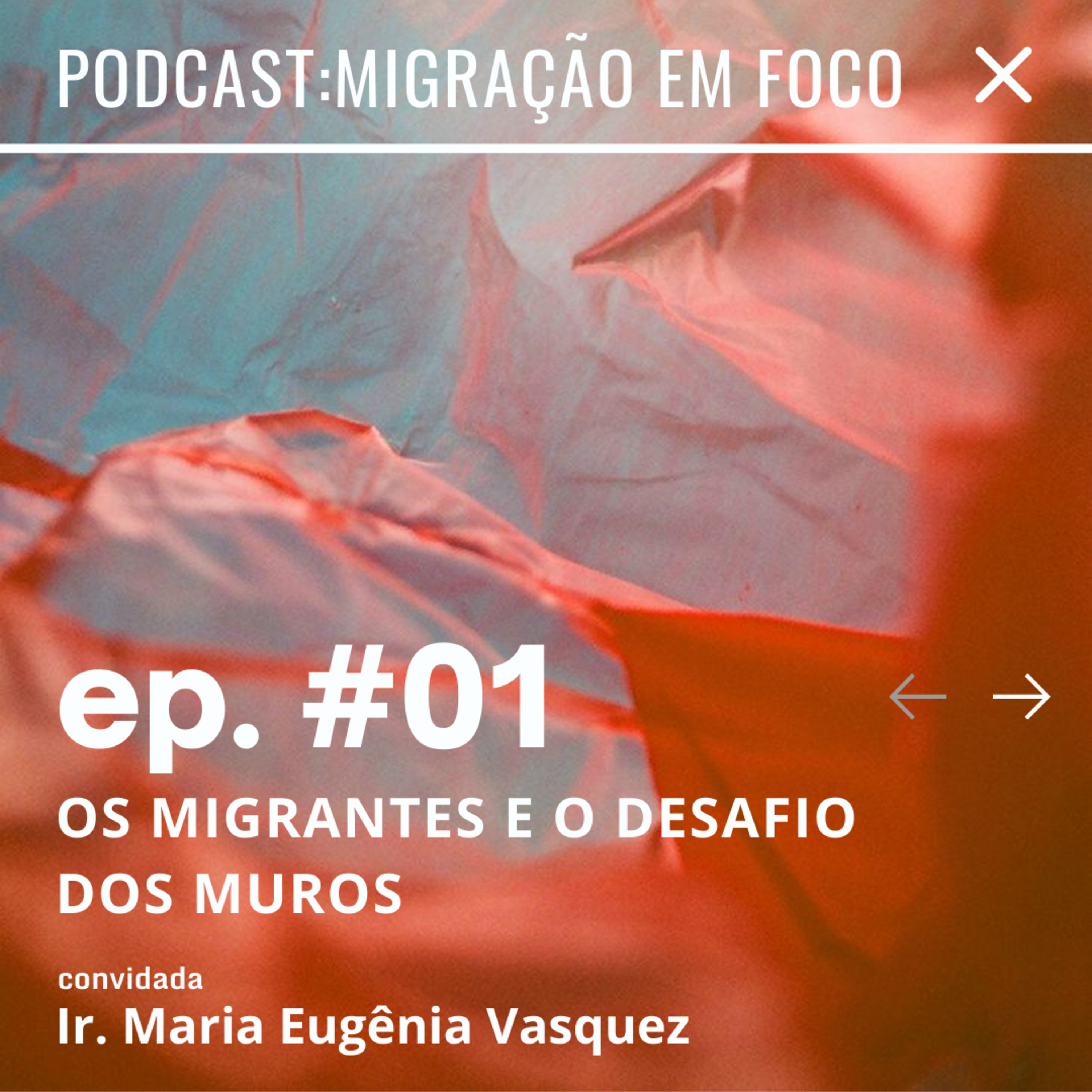 Migração em foco