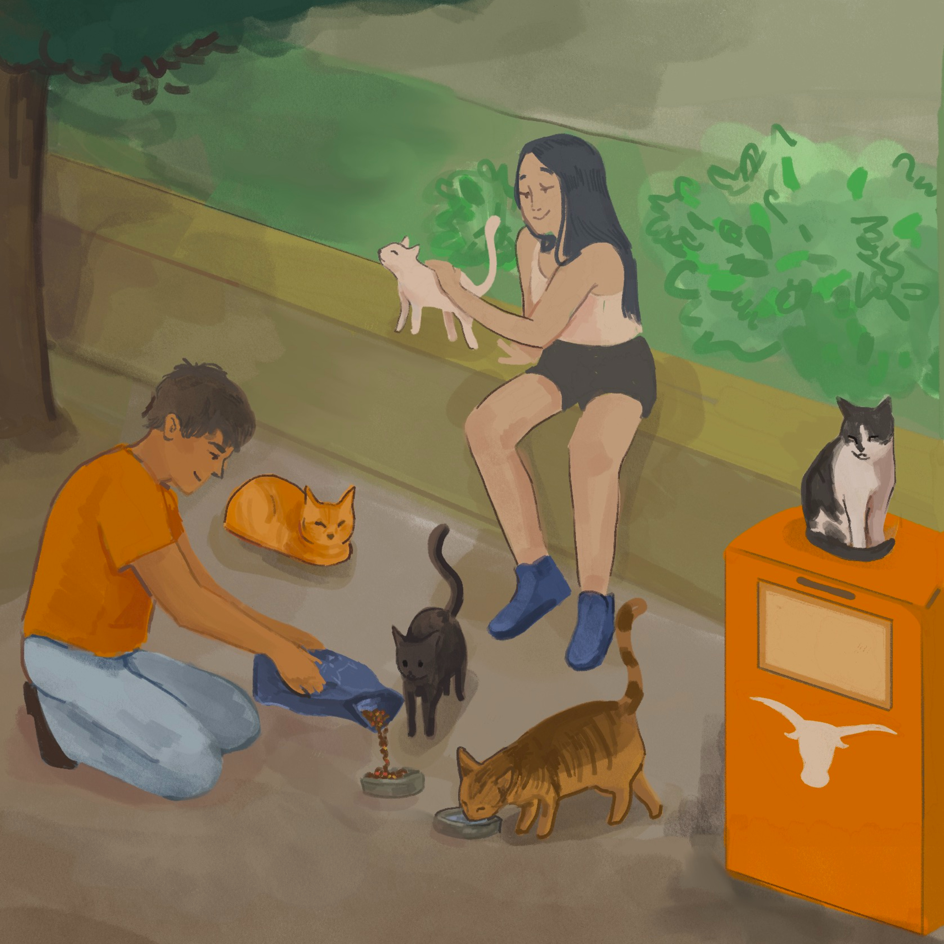 Campus Cats episode artwork
